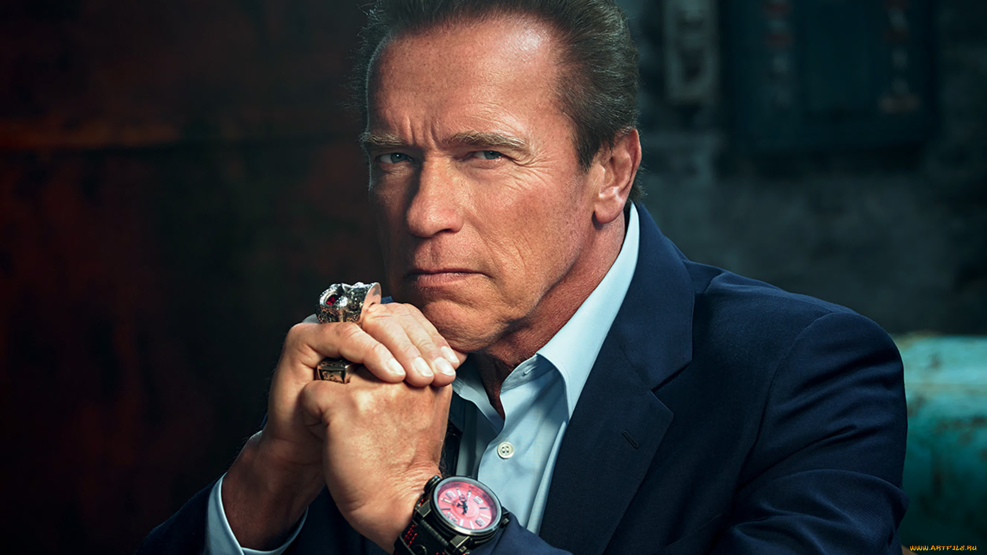 мужчины, arnold, schwarzenegger, атер, часы, пиджак, культурист, предприниматель, продюсер, государственный, политический, деятель, бывший, губернатор, калифорнии, директор, боевики, студия, netflix, арнольд, шварценеггер