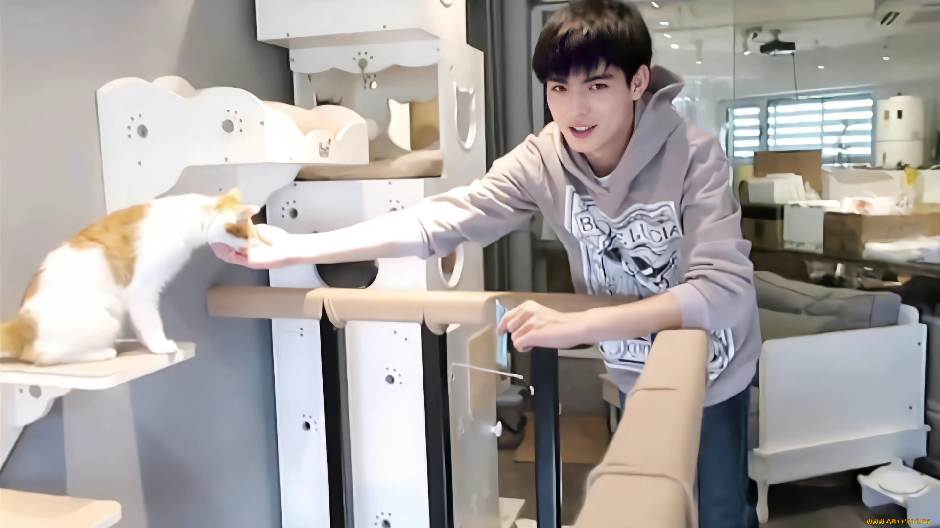 мужчины, wang, hao, xuan, ван, хаосюань, wang, hao, xuan