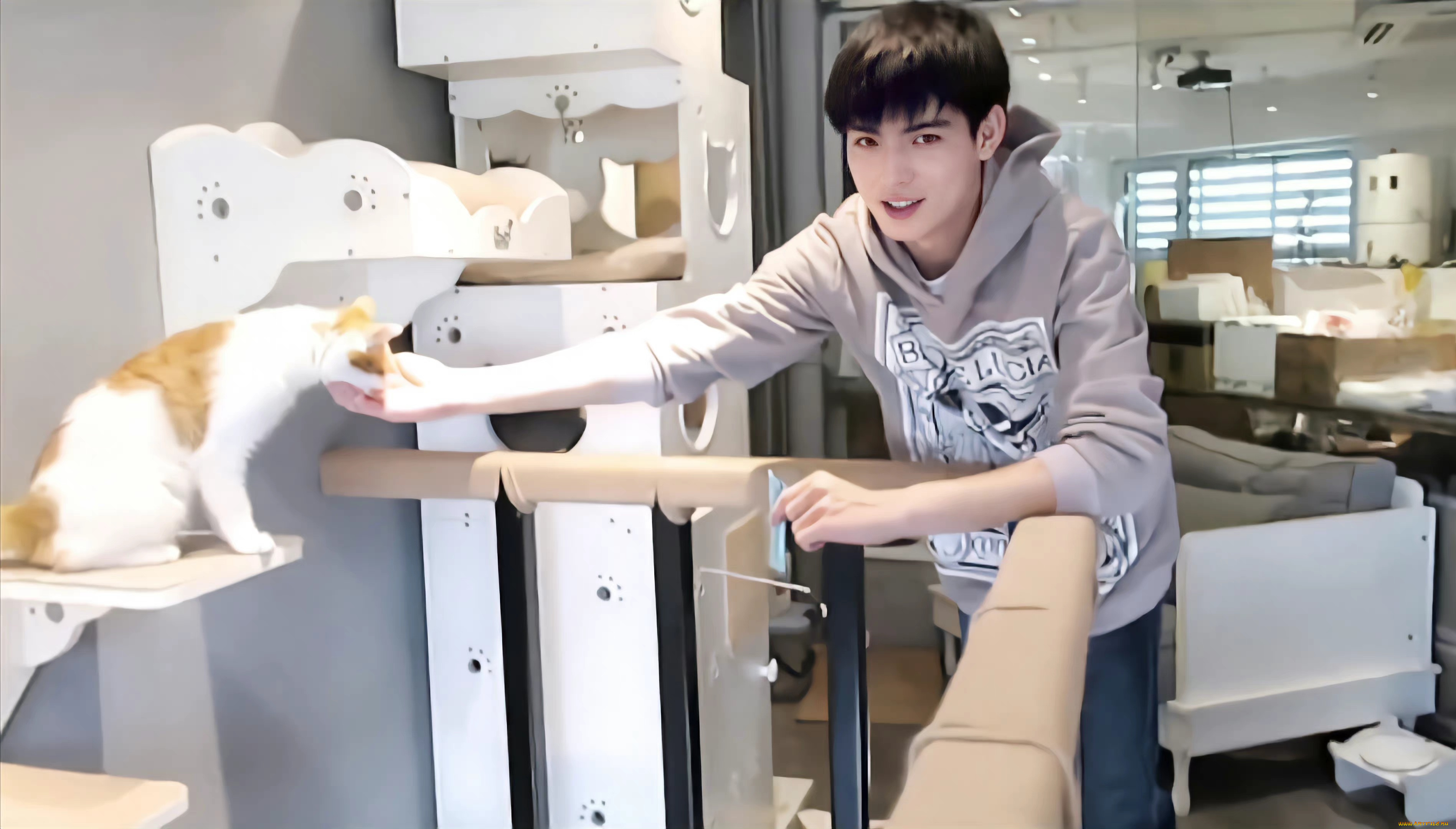 мужчины, wang, hao, xuan, ван, хаосюань, wang, hao, xuan