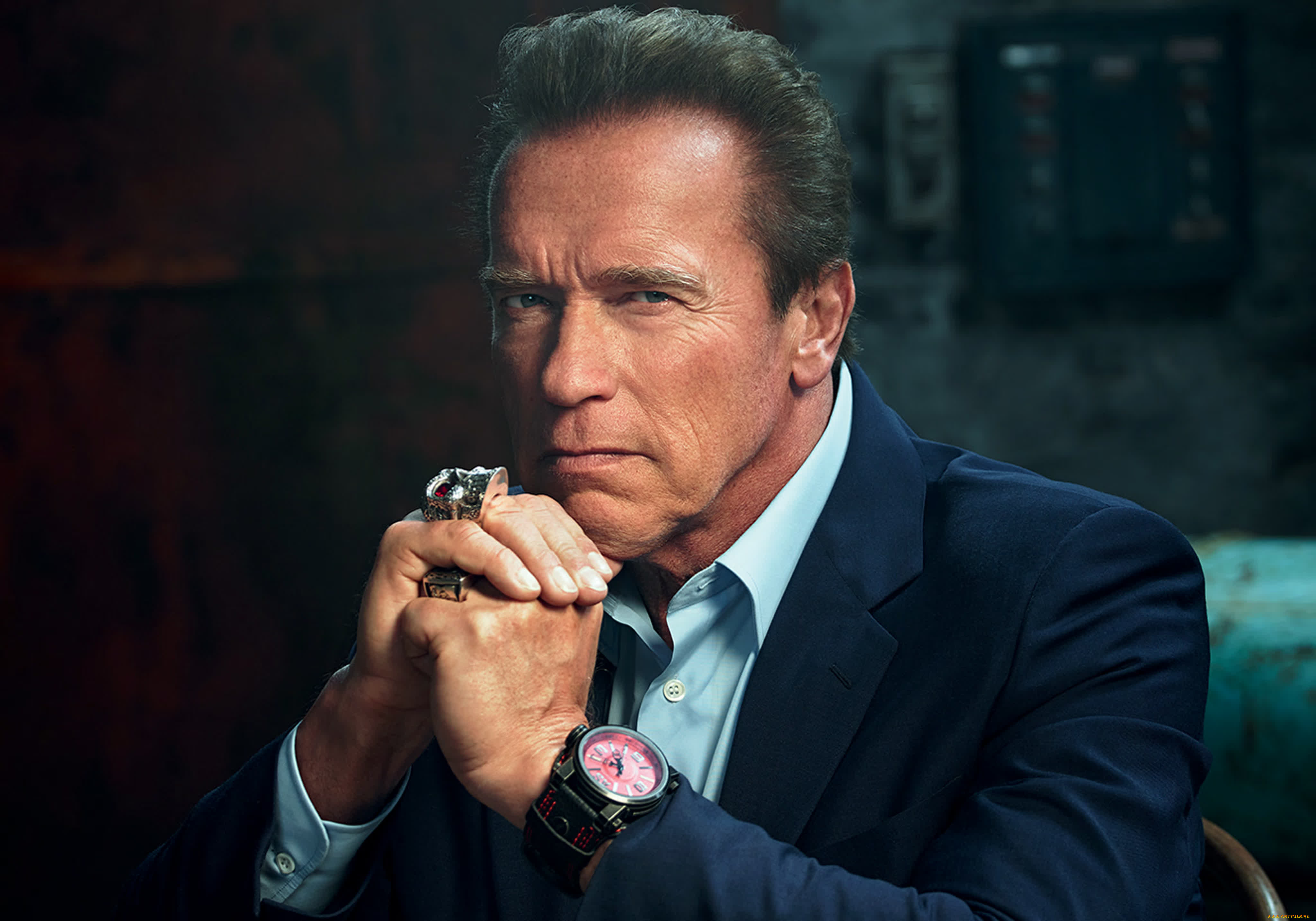 мужчины, arnold, schwarzenegger, атер, часы, пиджак, культурист, предприниматель, продюсер, государственный, политический, деятель, бывший, губернатор, калифорнии, директор, боевики, студия, netflix, арнольд, шварценеггер
