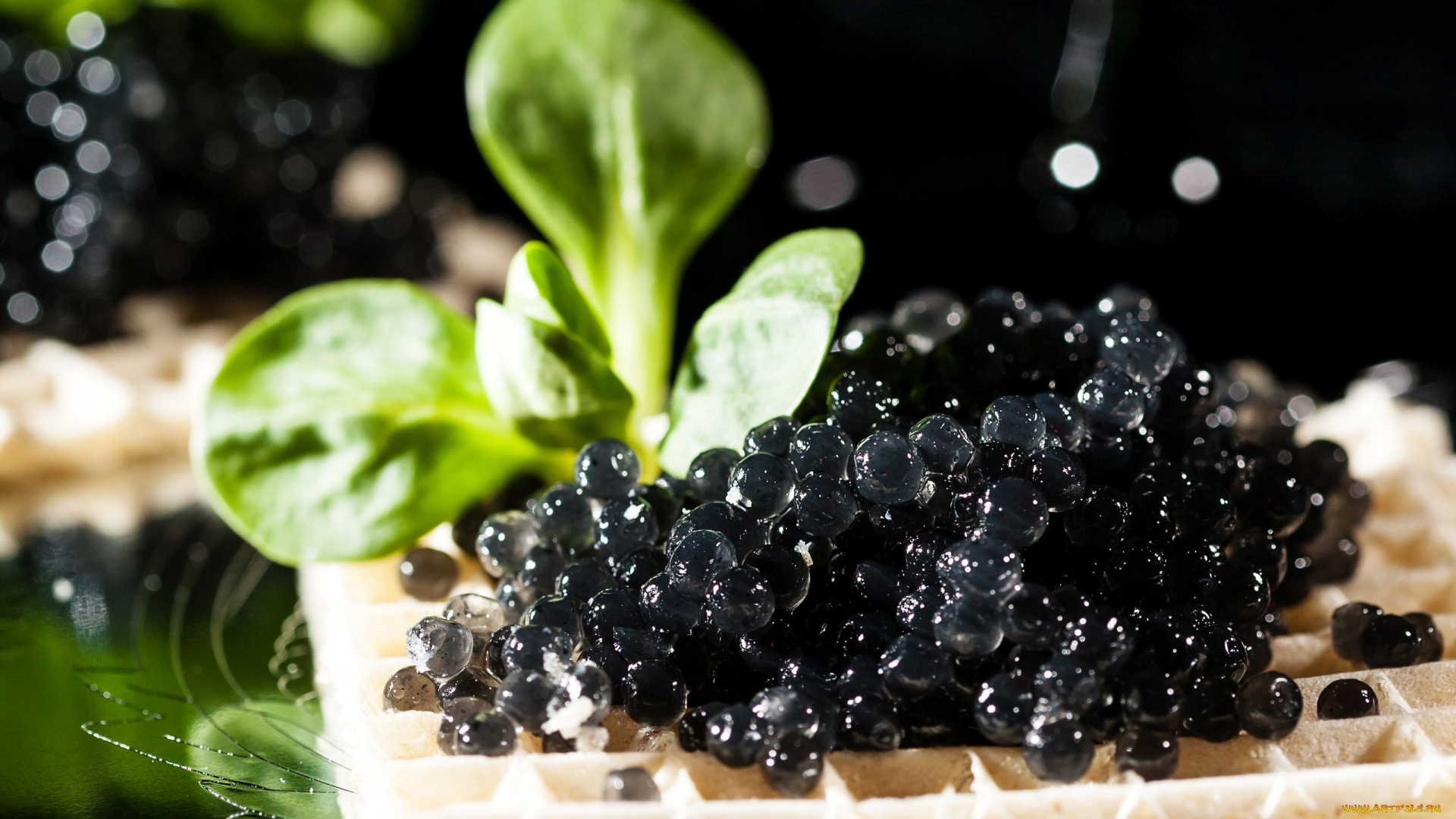 еда, икра, черная, деликатес