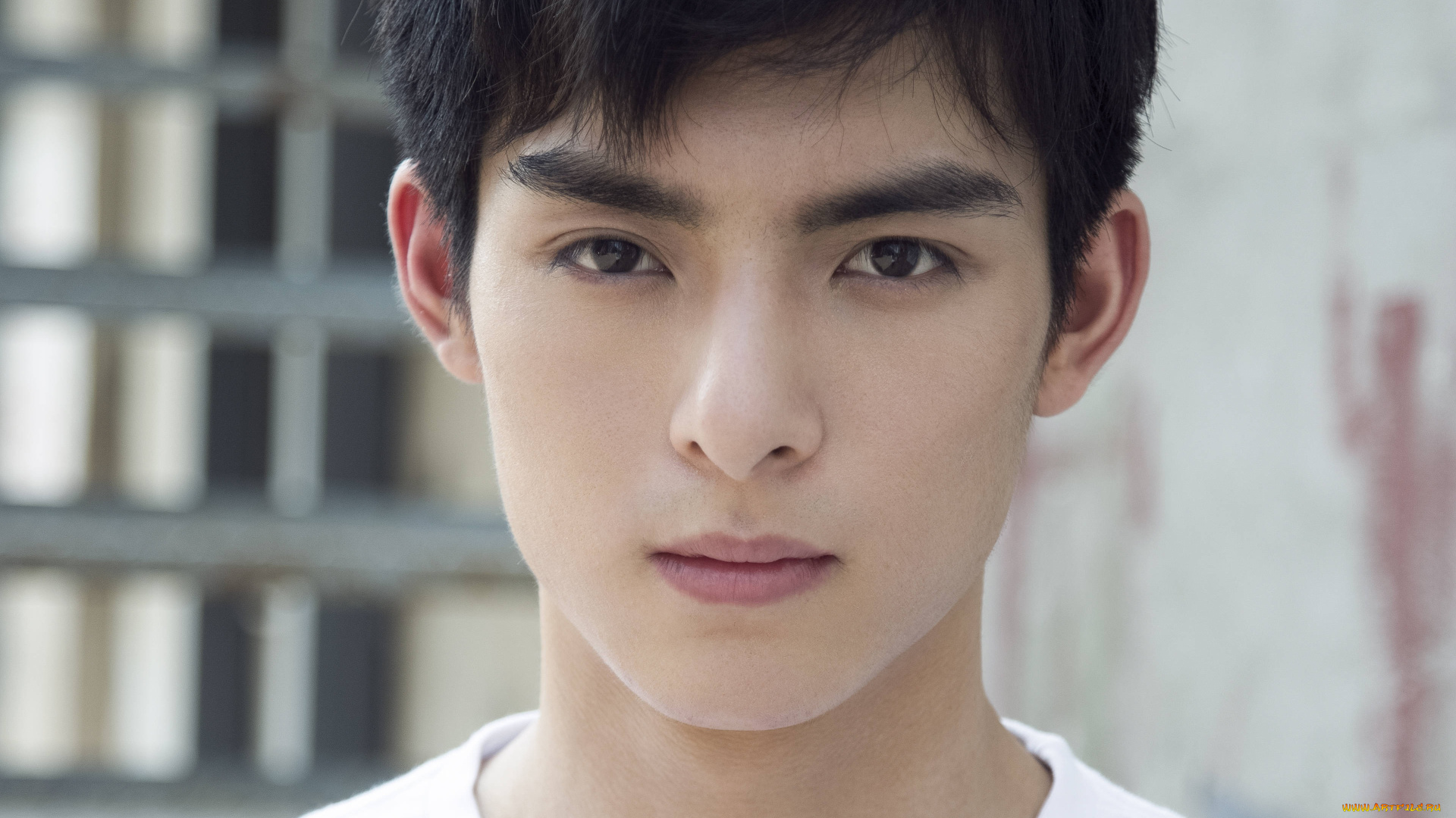 мужчины, wang, hao, xuan, ван, хао, сюань