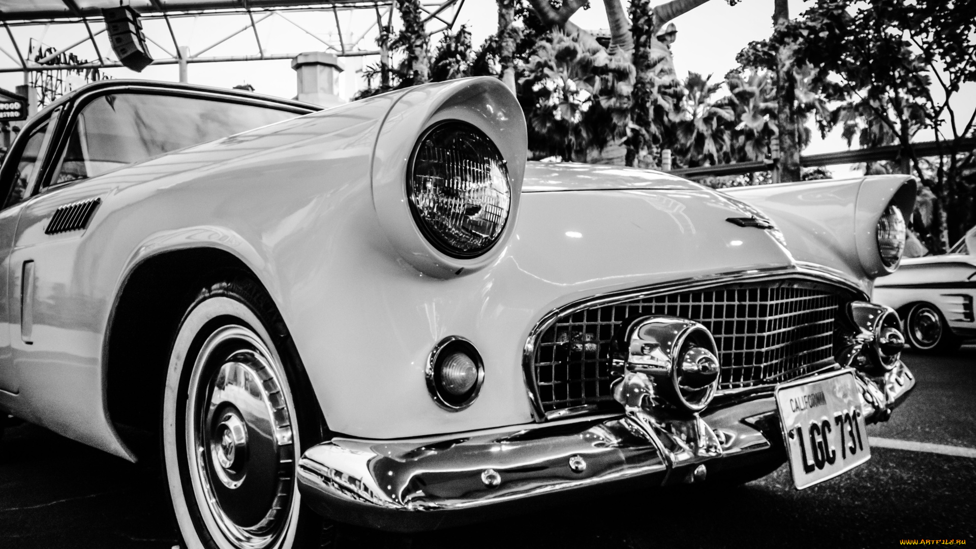 авторетро, автомобили, фрагменты, автомобиля, белый, ретро, авто, красивый
