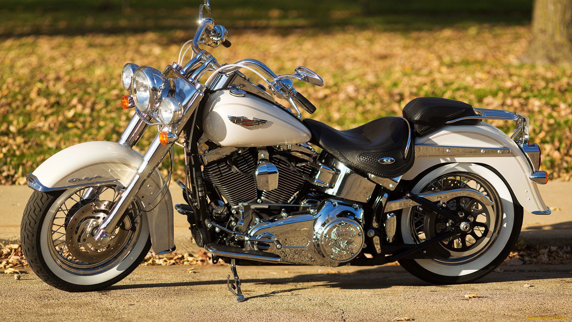 харлей, мотоциклы, harley-davidson, мотоцикл, байк, белый