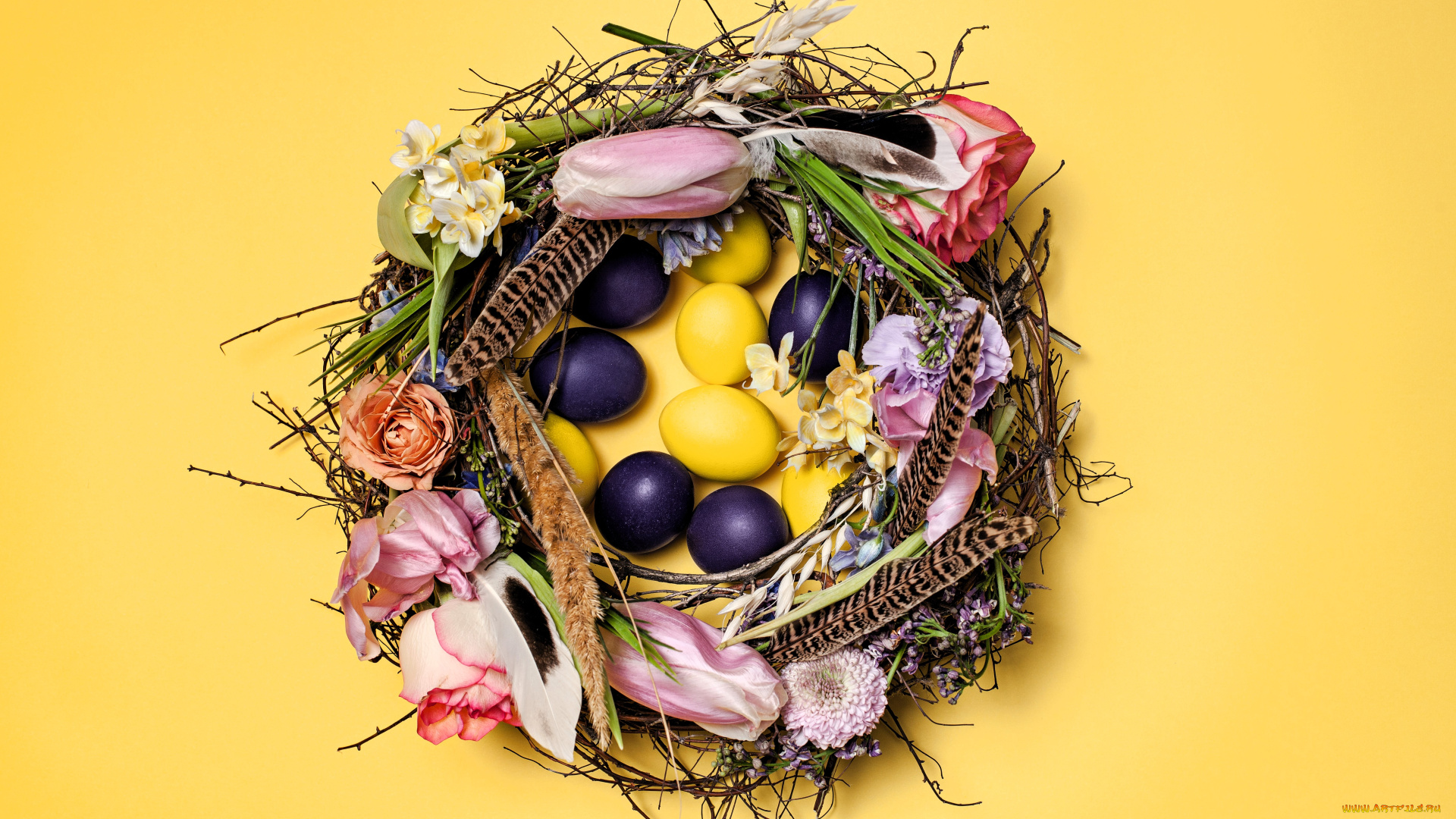 праздничные, пасха, гнездо, яйца, цветы, перья