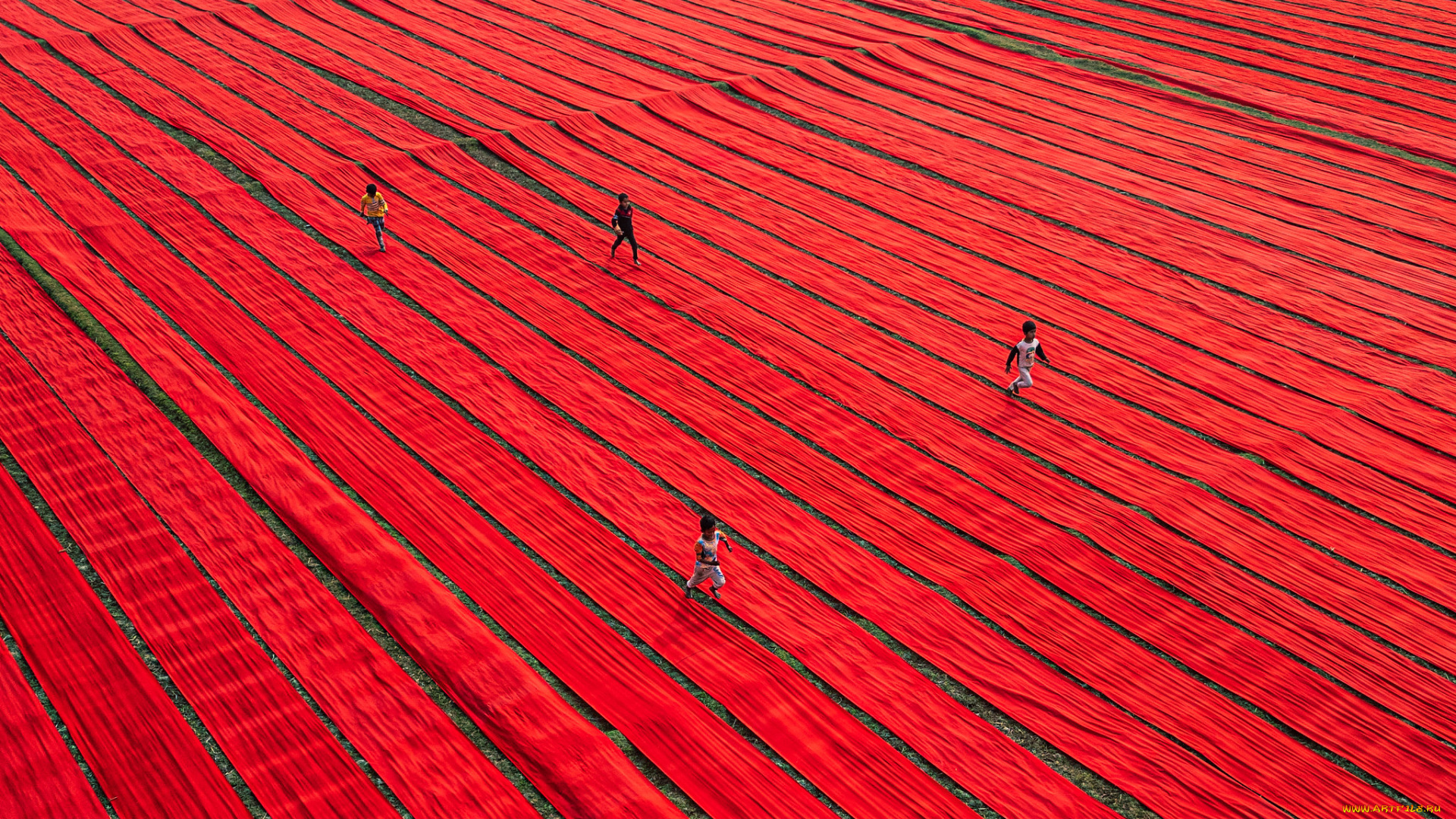 разное, дети