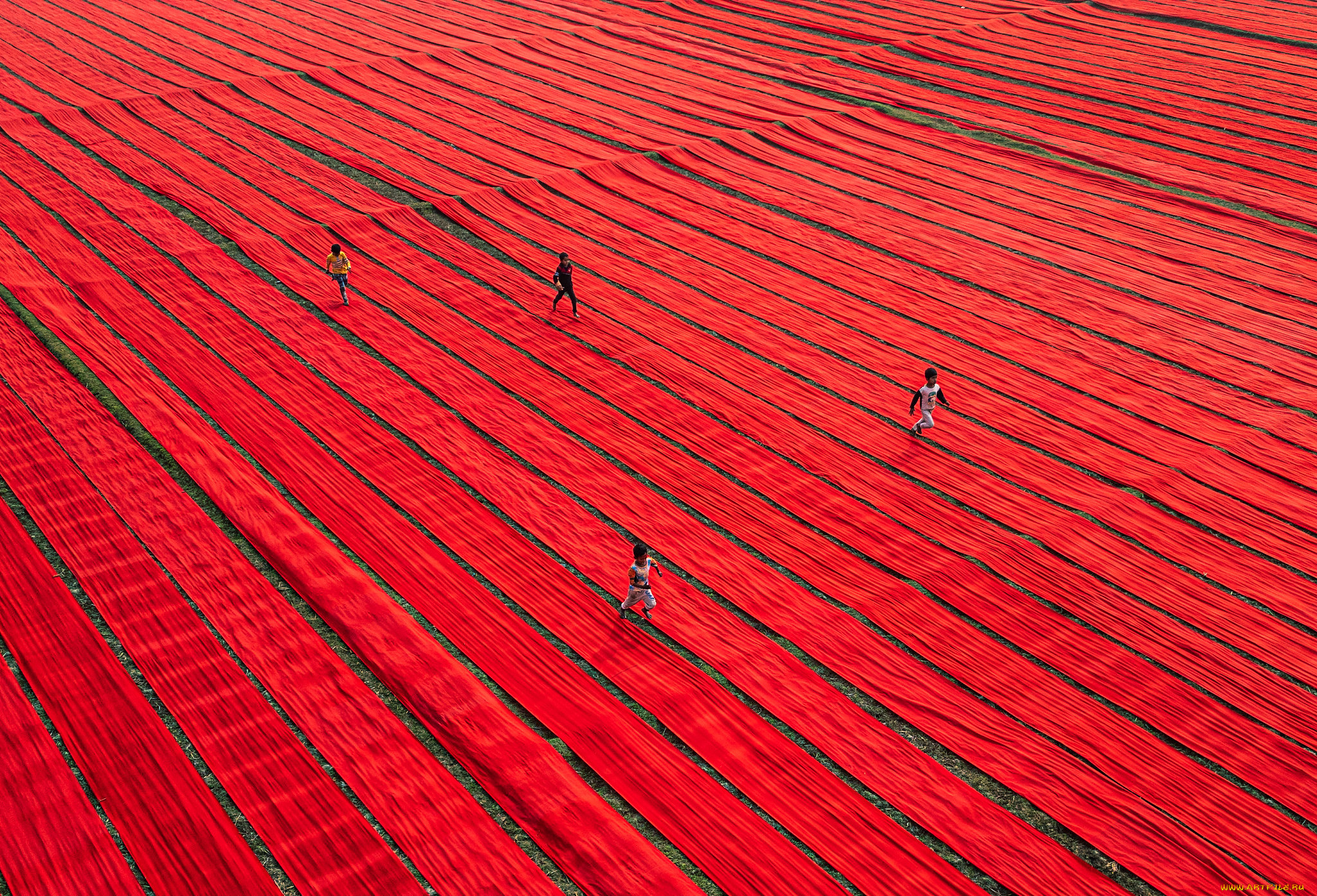 разное, дети