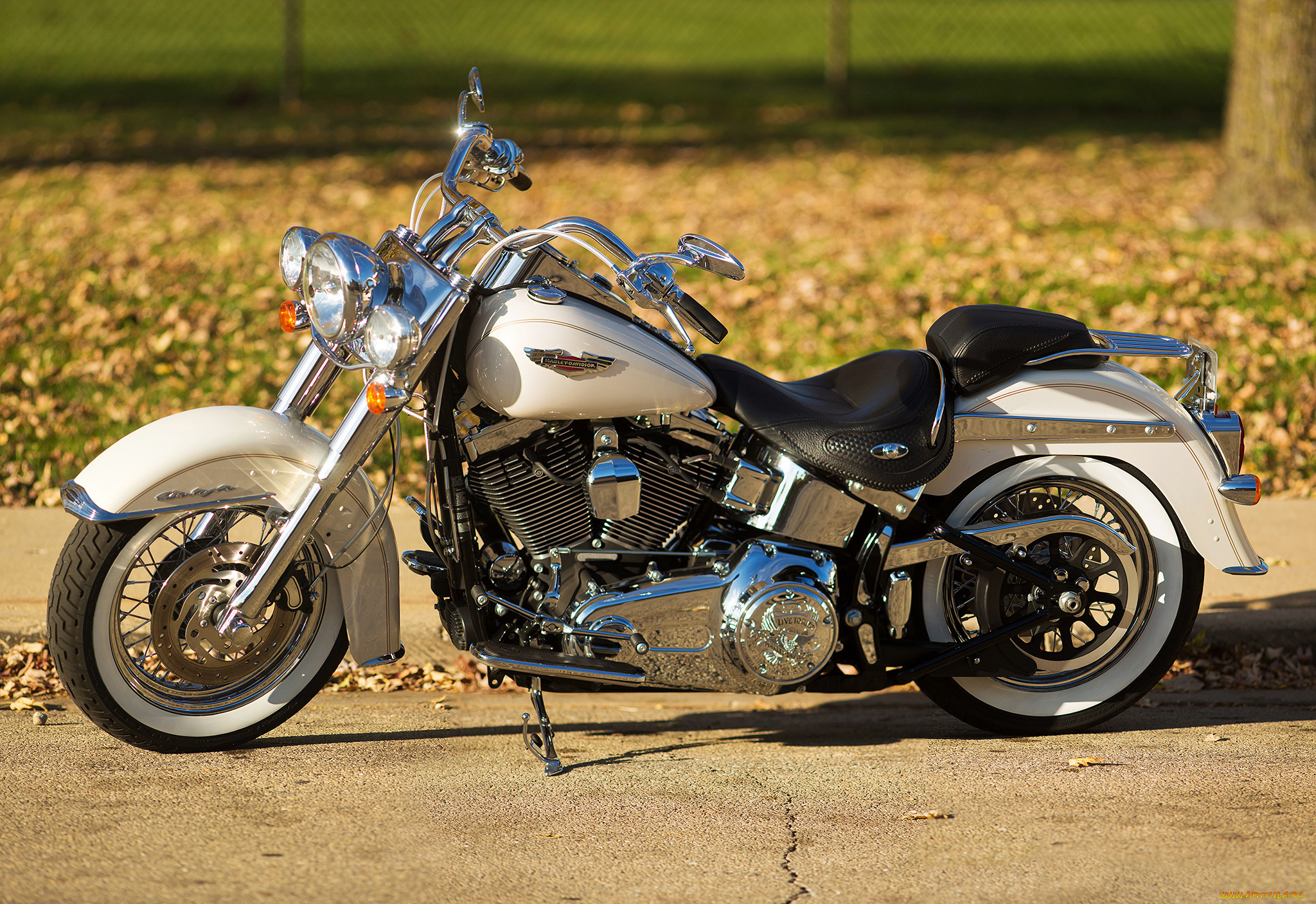 харлей, мотоциклы, harley-davidson, мотоцикл, байк, белый