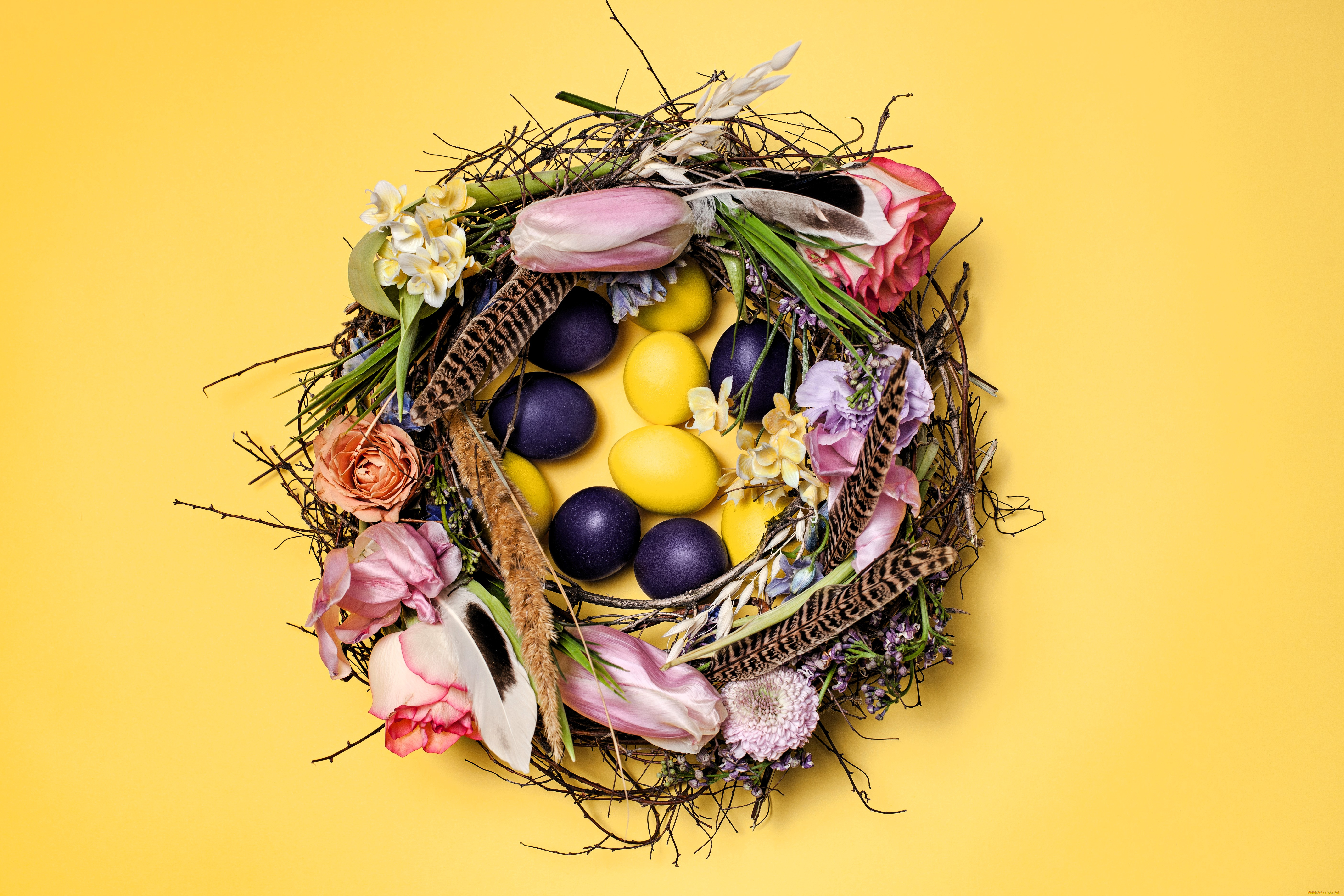 праздничные, пасха, гнездо, яйца, цветы, перья