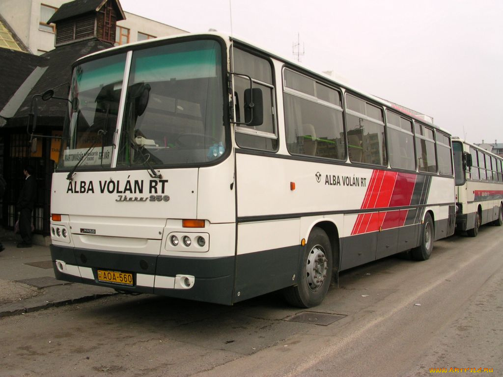 автомобили, автобусы