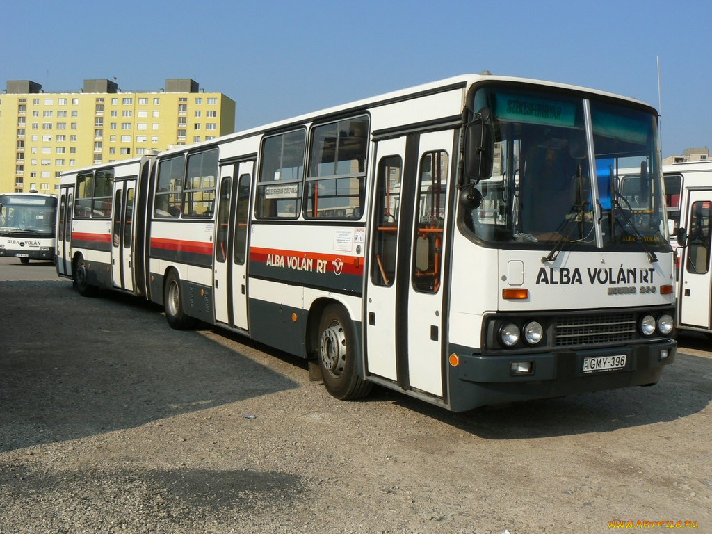 автомобили, автобусы