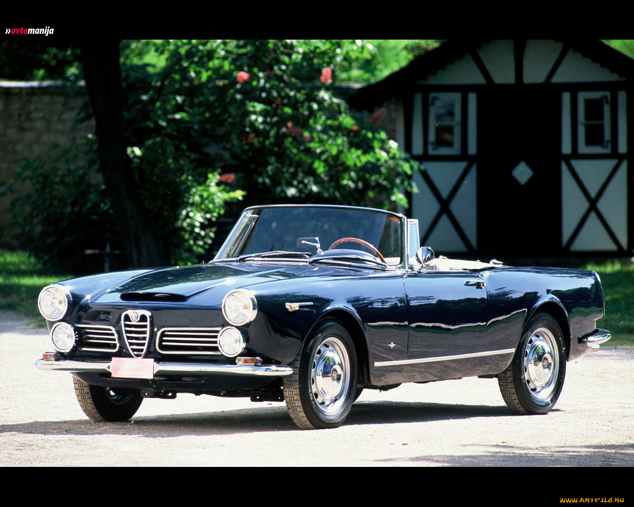 автомобили, alfa, romeo