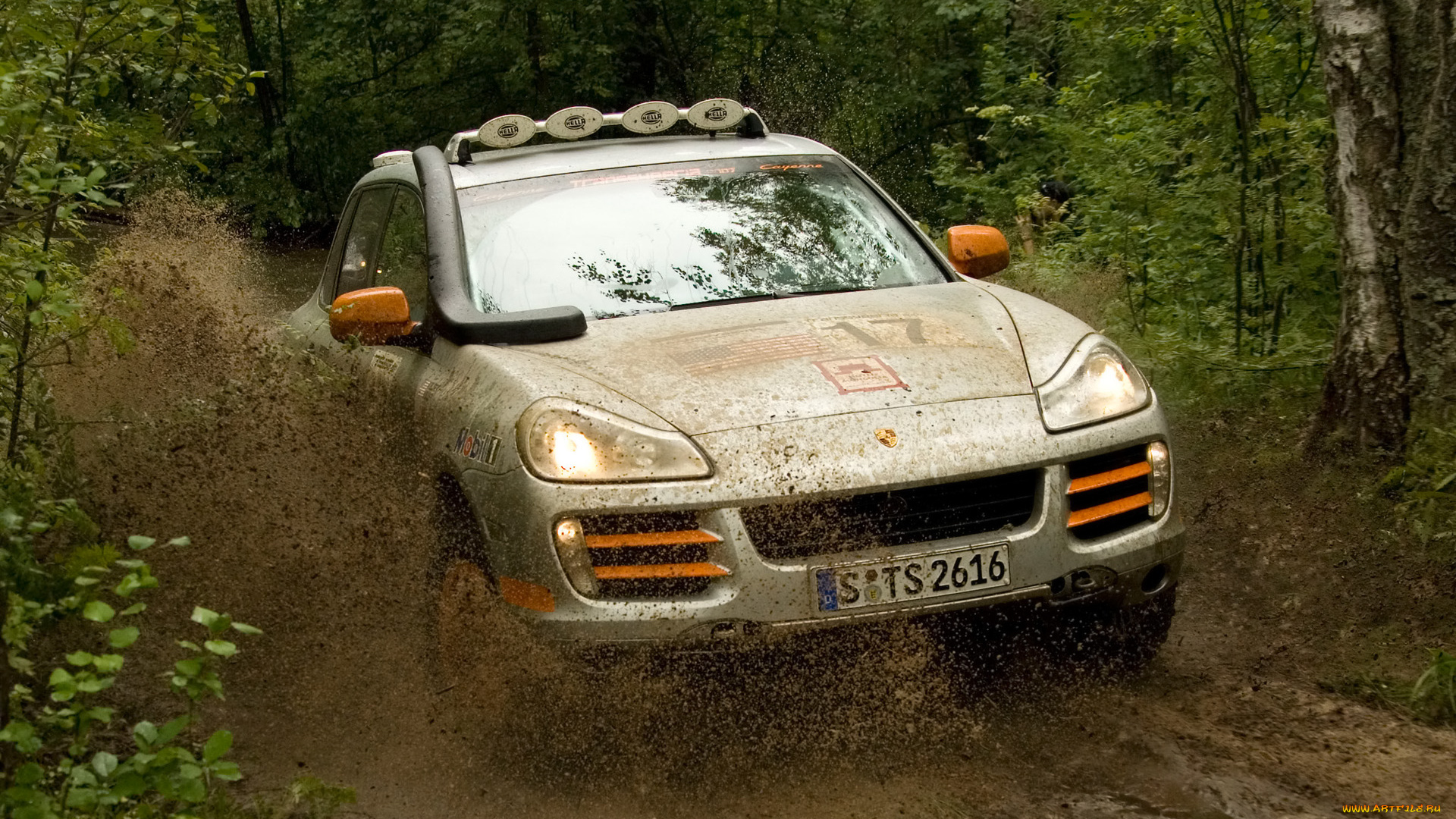 спорт, авторалли