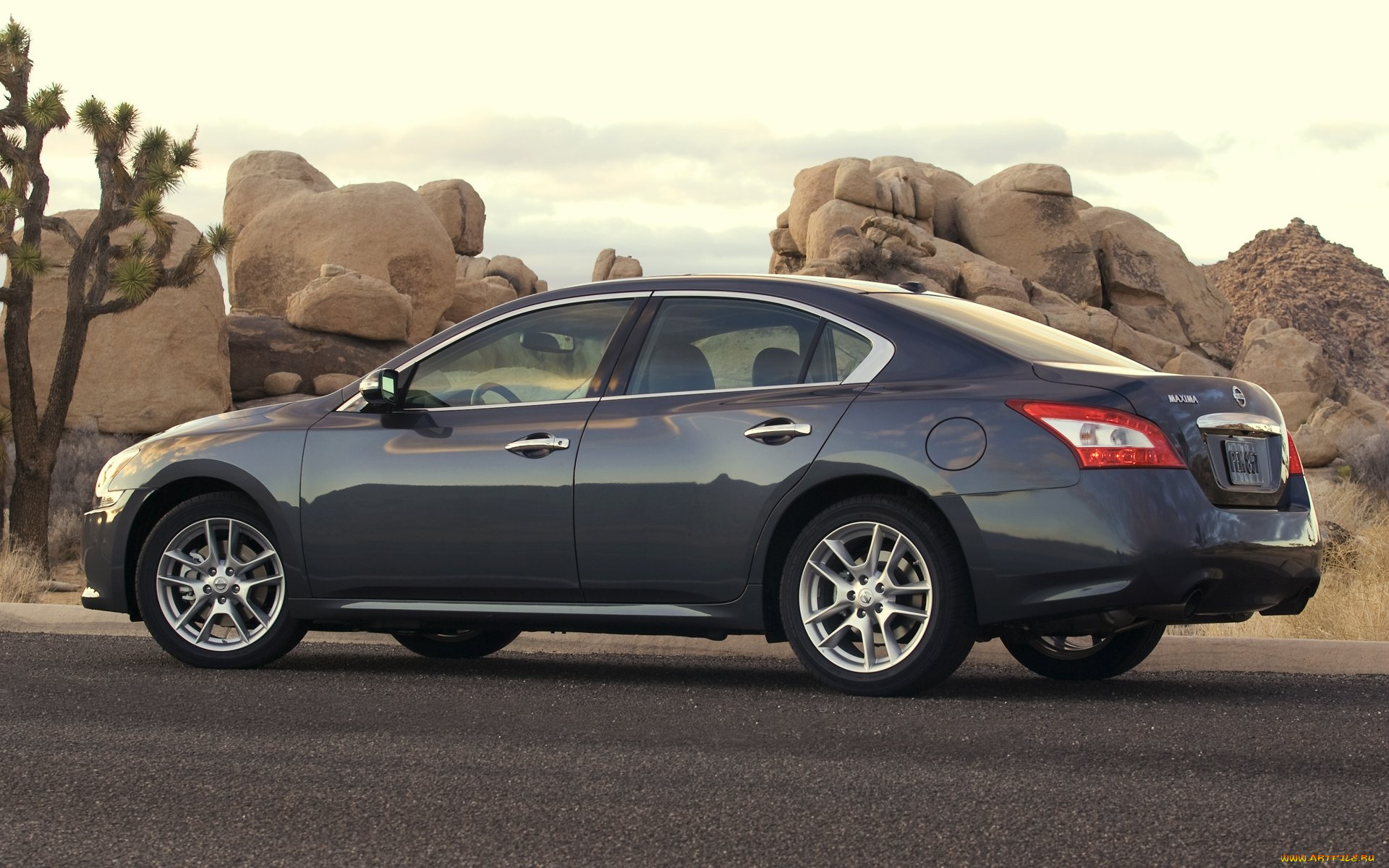 nissan, maxima, автомобили, datsun