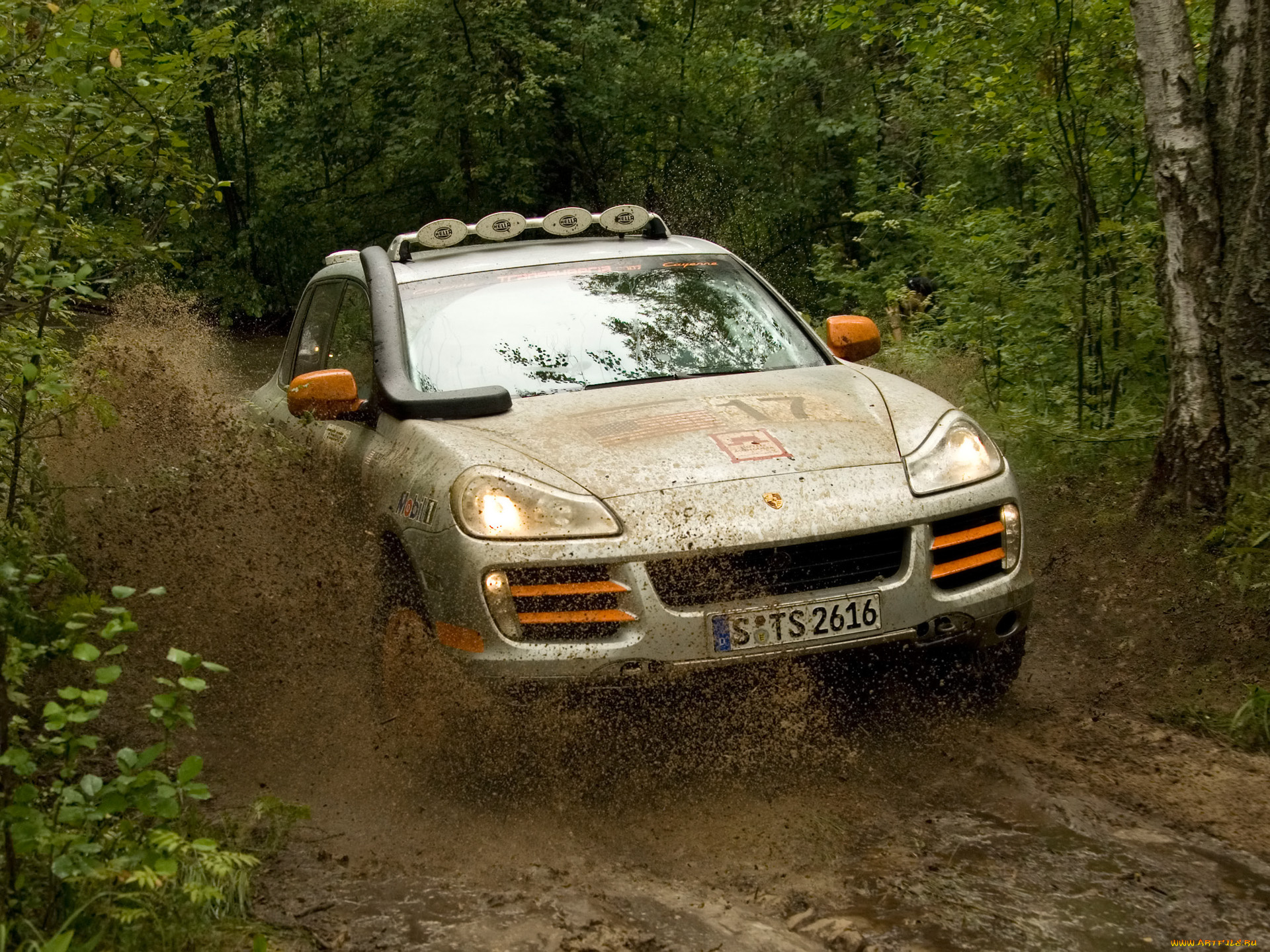 спорт, авторалли