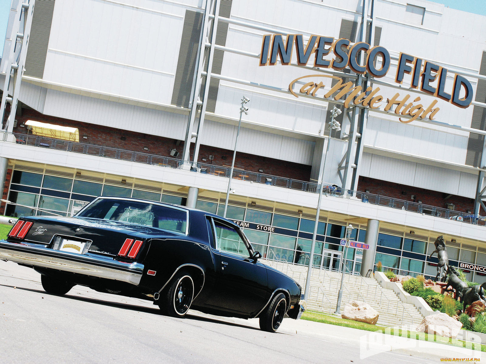 1979, oldsmobile, cutlass, supreme, автомобили