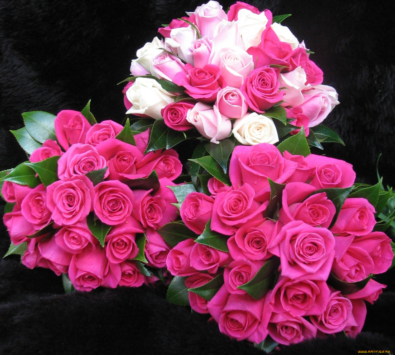 цветы, розы, букеты