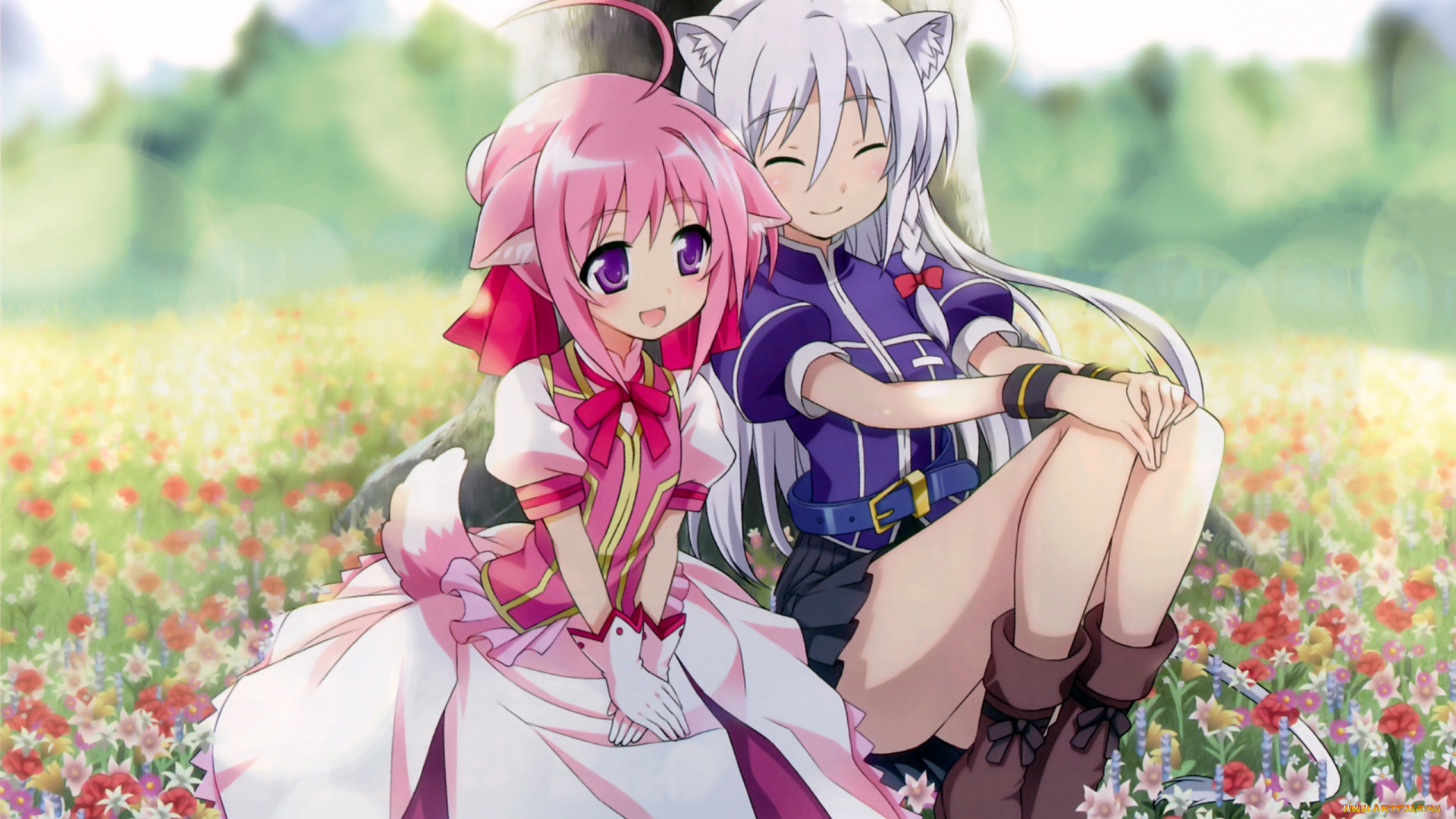 аниме, dog, days