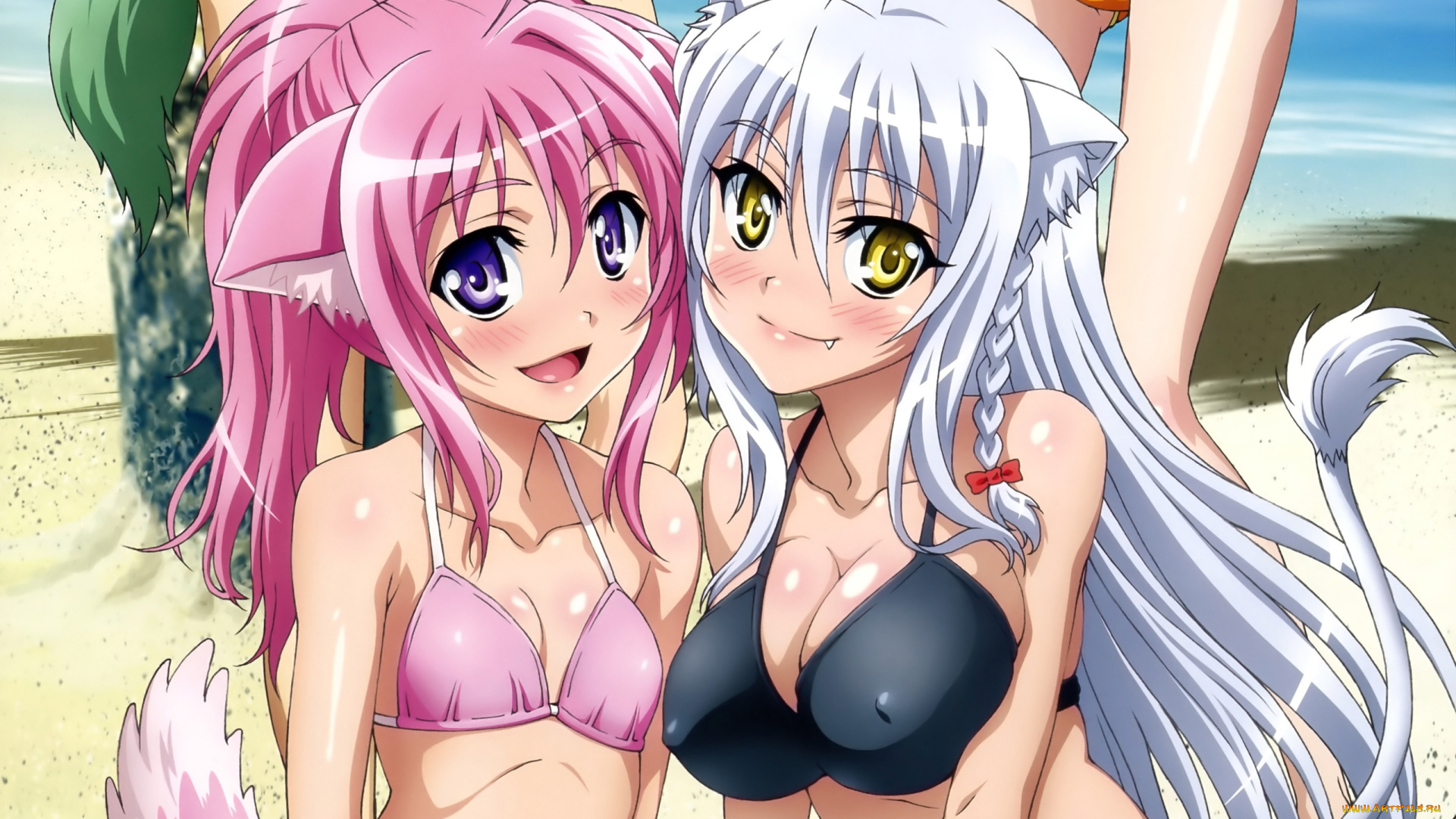 аниме, dog, days