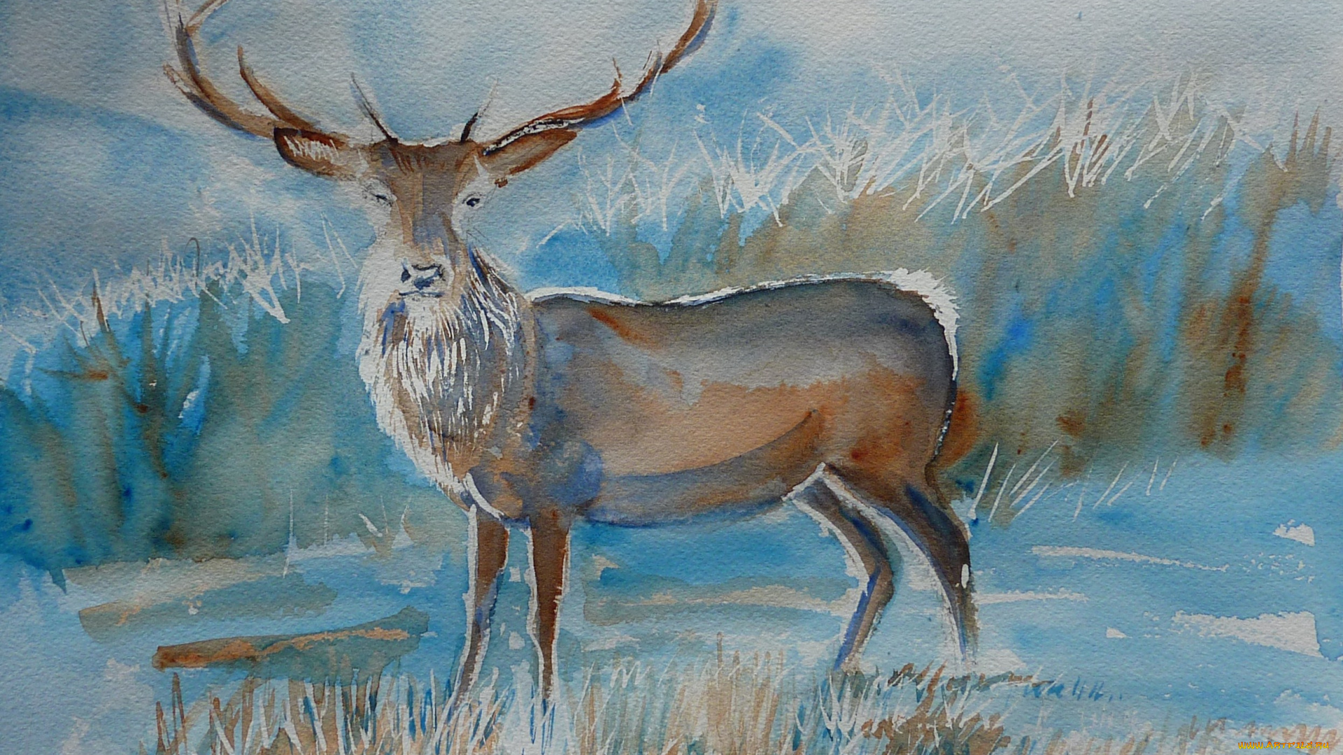 chrissy, marie, рисованные, олень