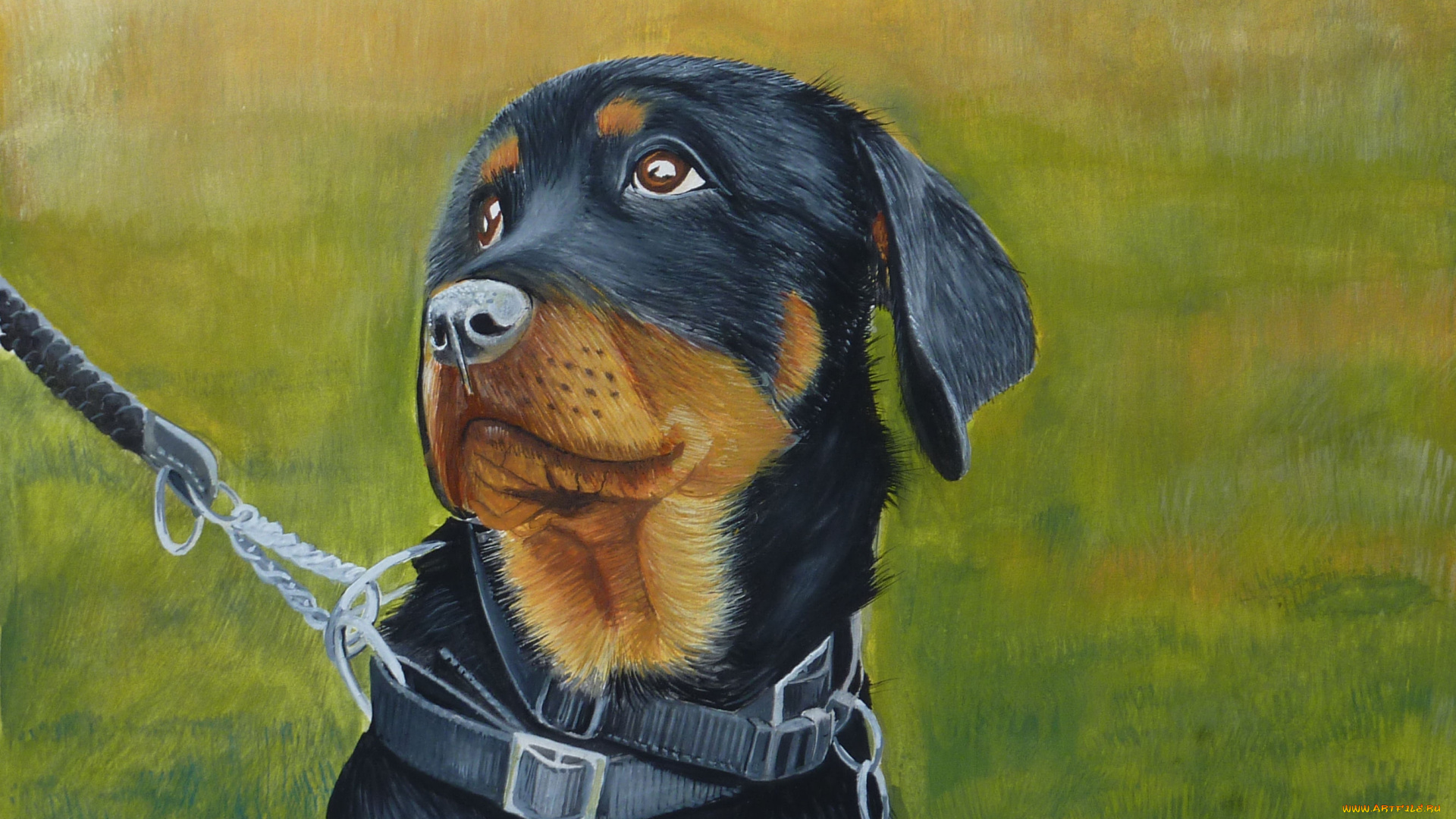 chrissy, marie, рисованные, собака