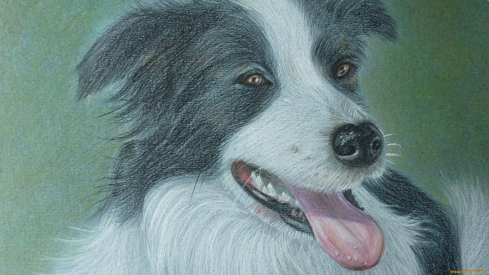 chrissy, marie, рисованные, собака