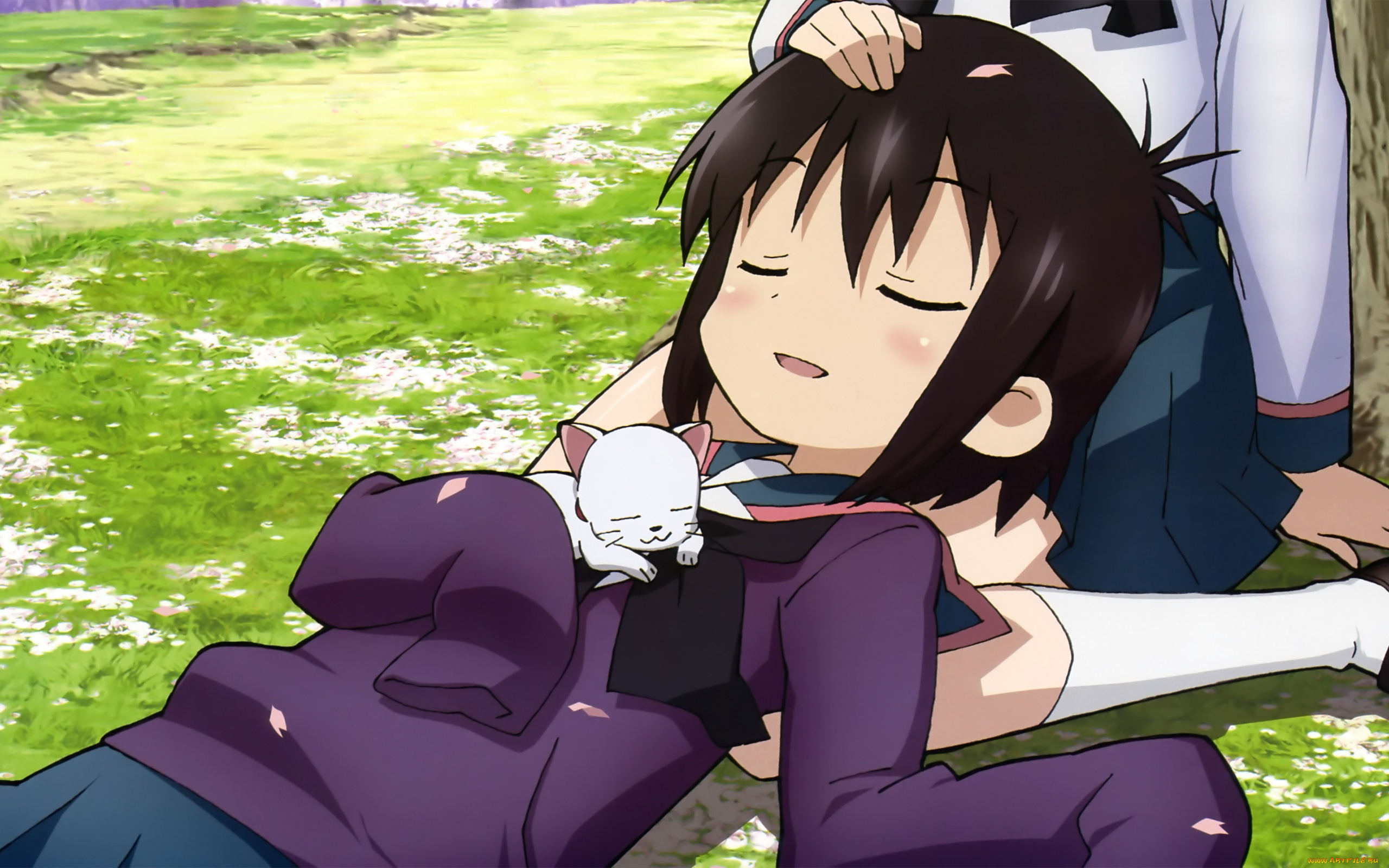 аниме, channel, a