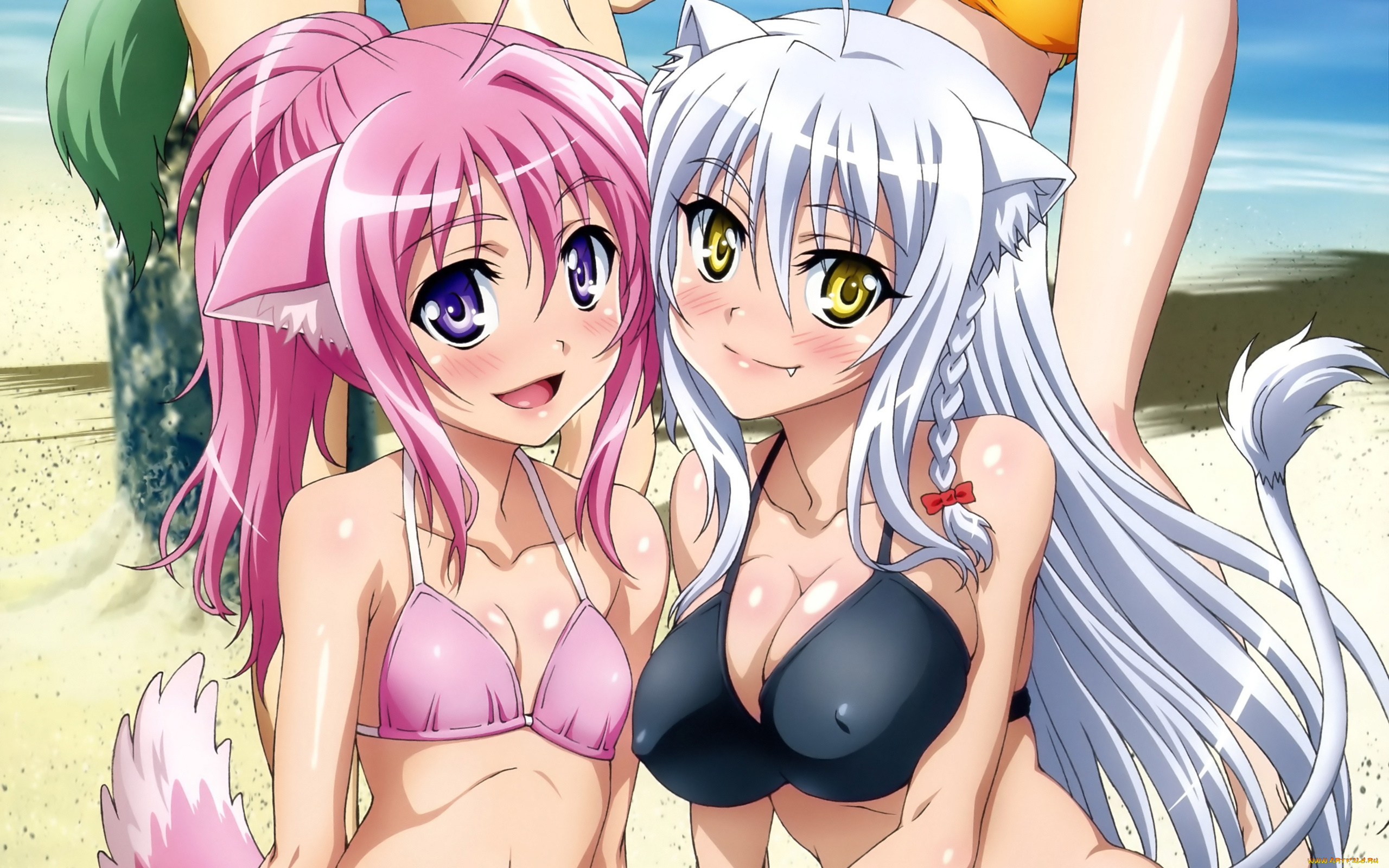 аниме, dog, days