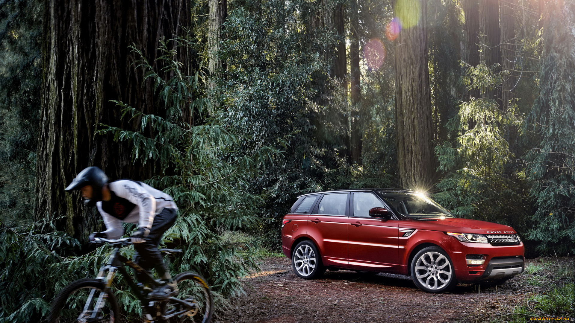 2014, land, rover, range, sport, автомобили