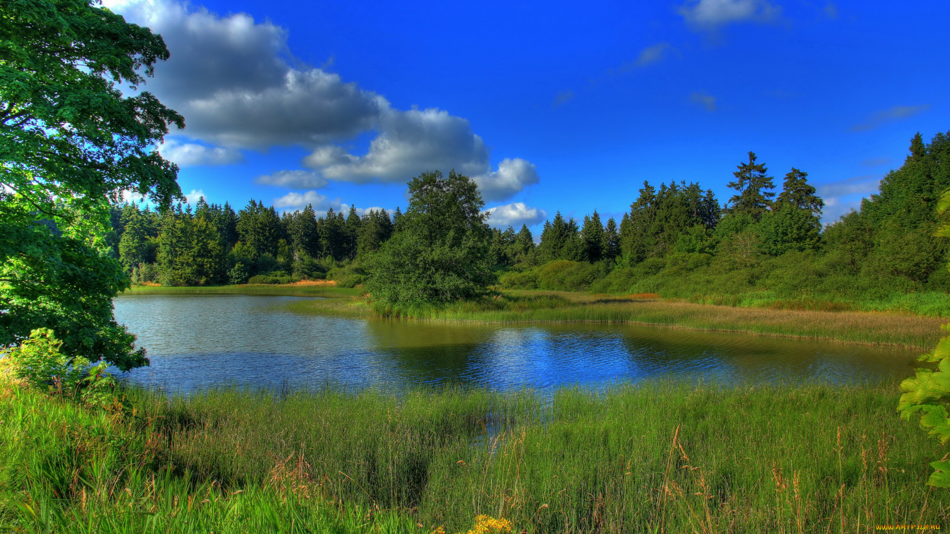 германия, гессен, природа, реки, озера, река, берег, трава