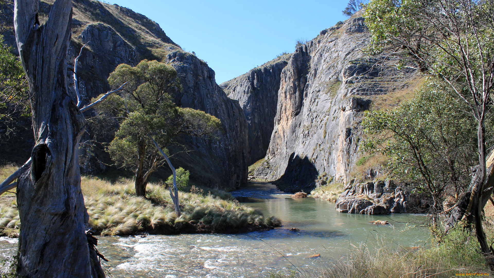 природа, реки, озера, горы, река, деревья