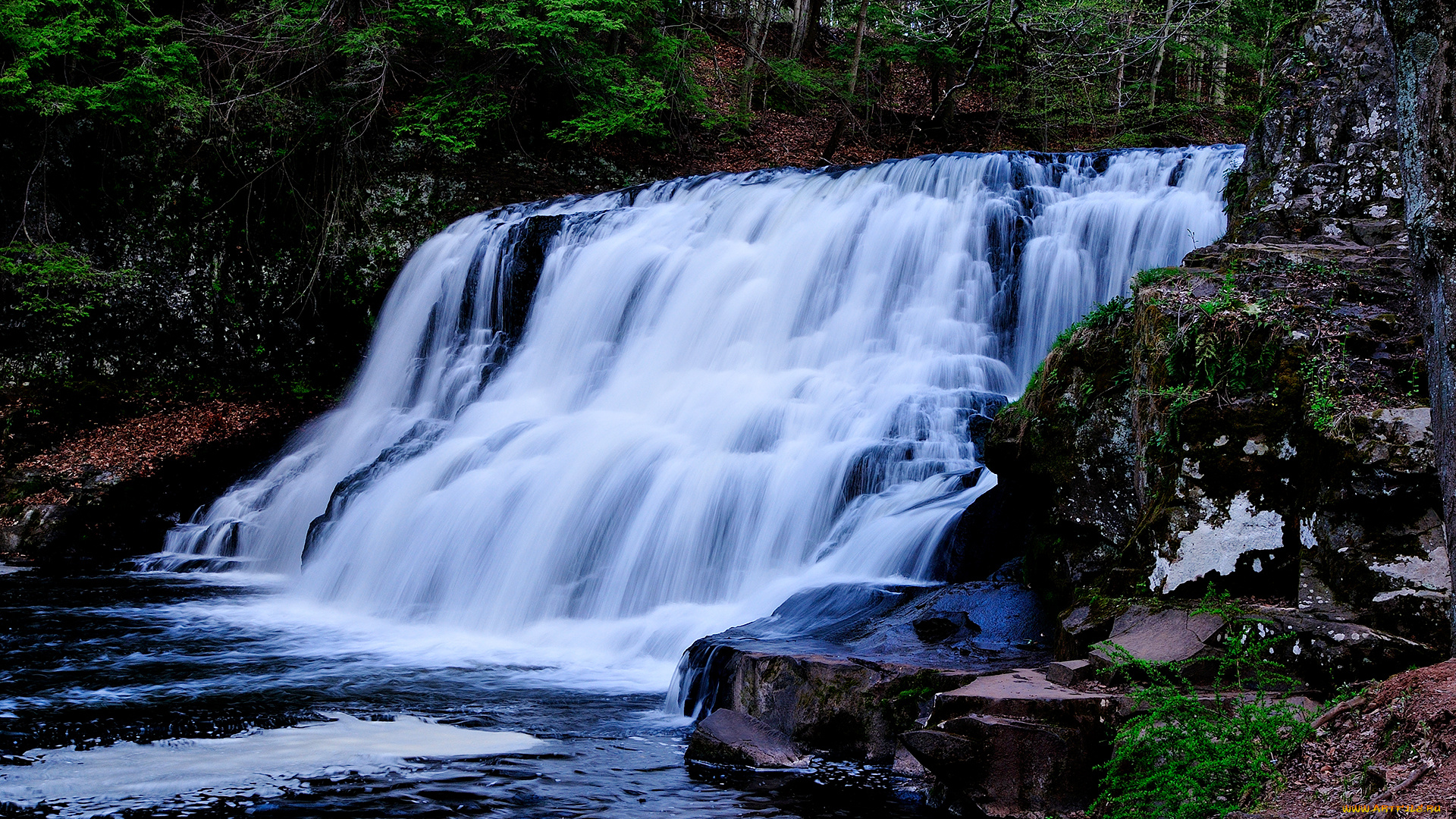природа, водопады, водопад, деревья, скалы, пейзаж