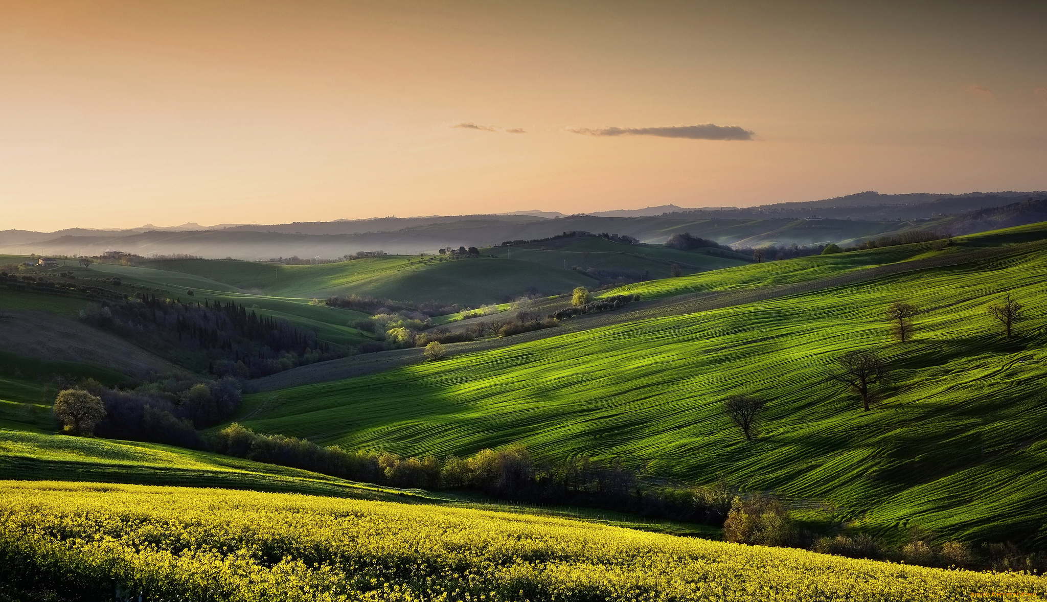 природа, поля, пейзаж, небо, поле