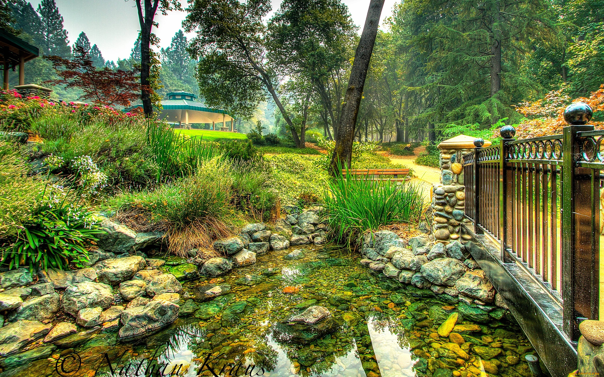 природа, парк, деревьья, ограда, пруд, трава