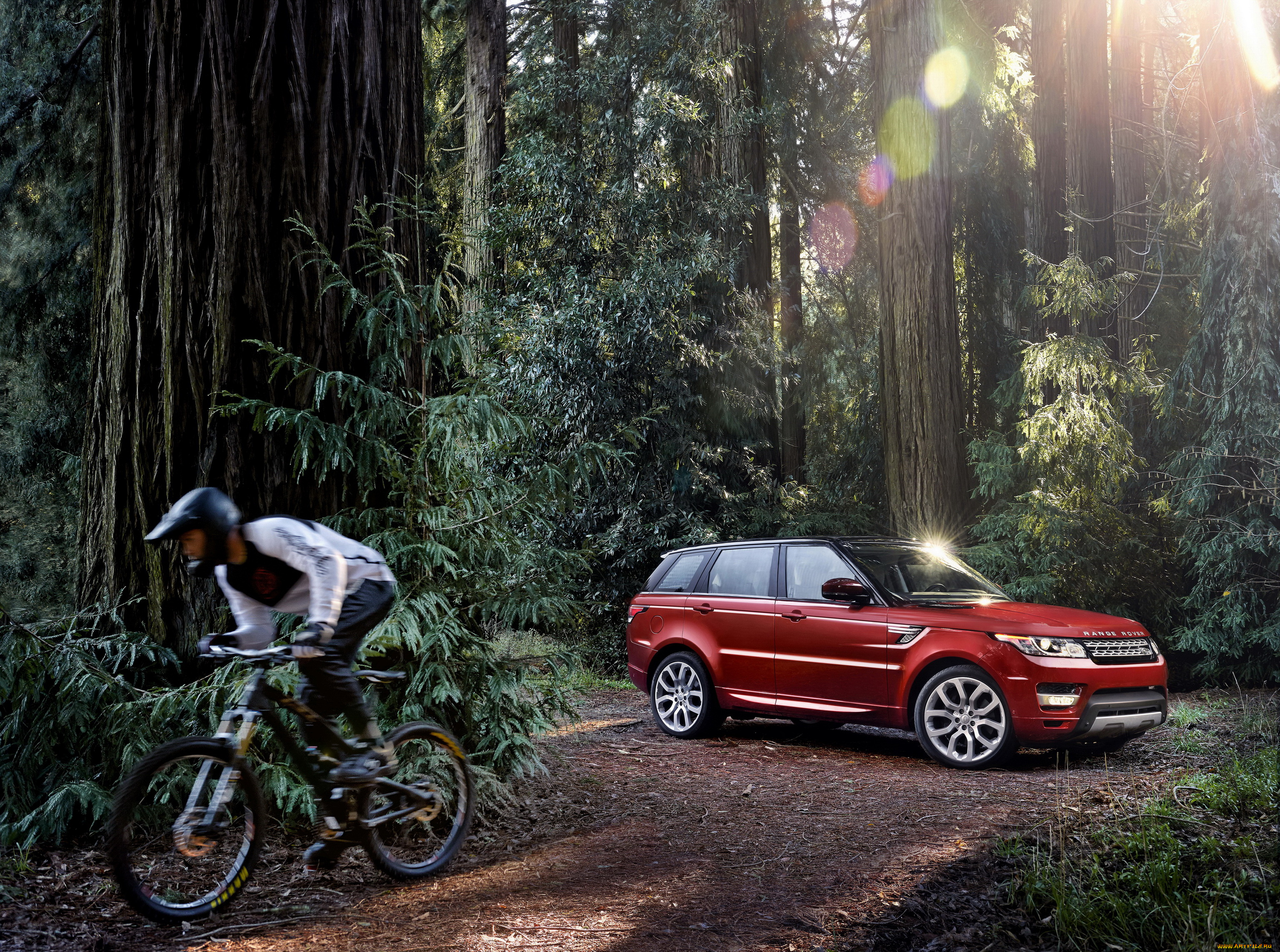 2014, land, rover, range, sport, автомобили