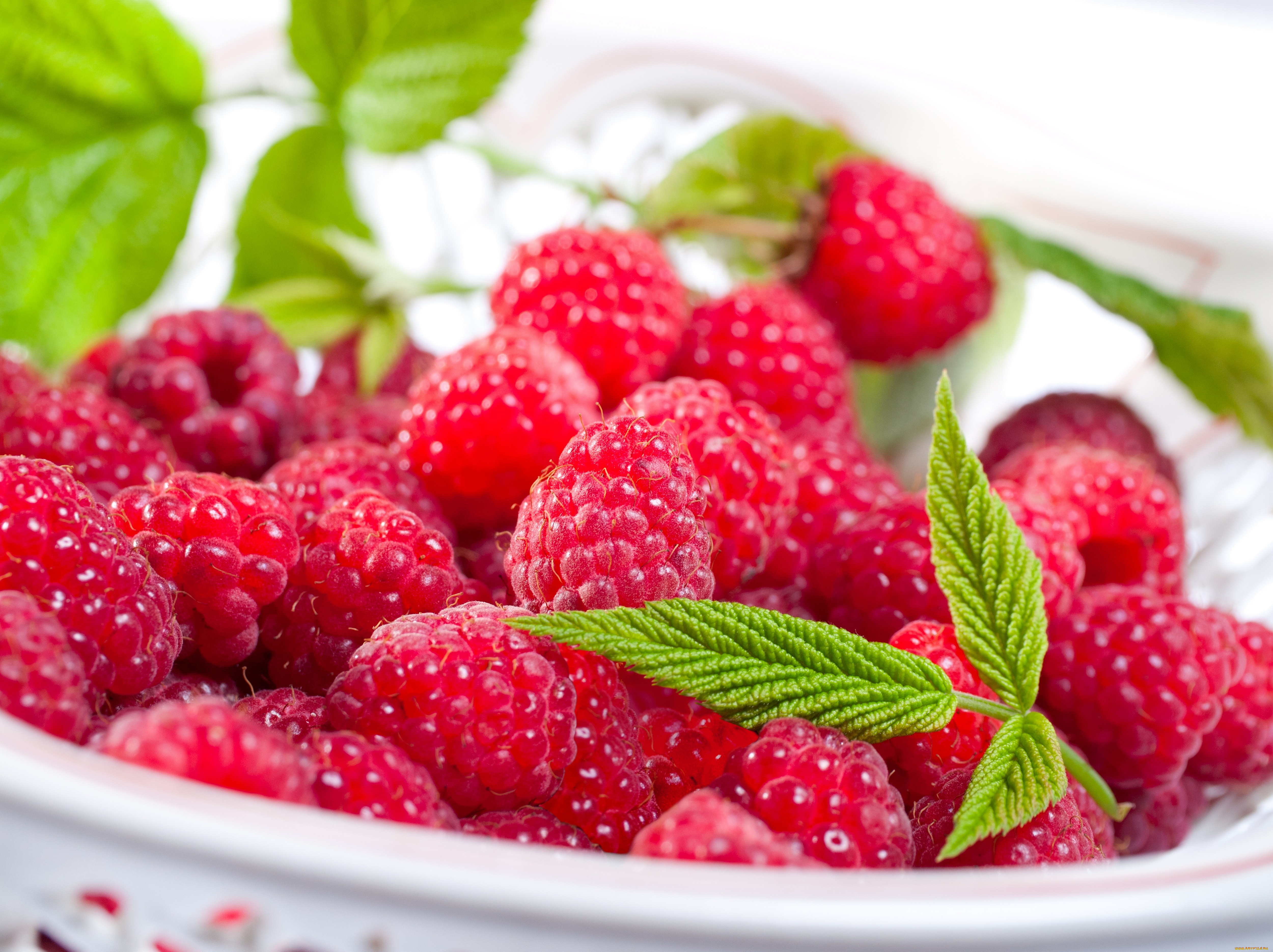 еда, малина, тарелка, ягоды, листья