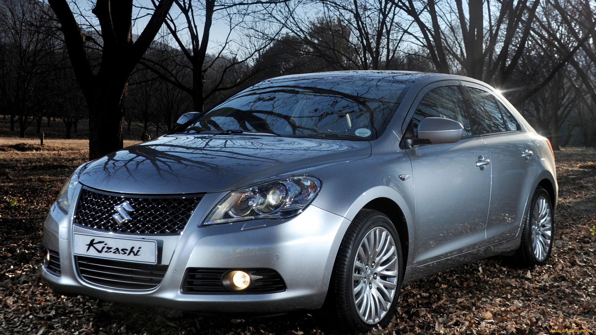 автомобили, suzuki, серый, kizashi, za-spec