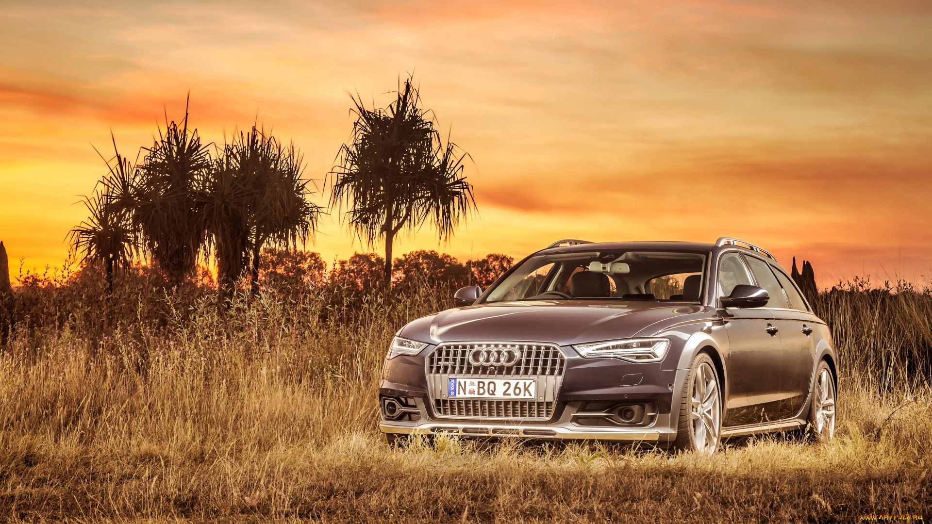 audi, a6, allroad, 3, 0, tdi, quattro, автомобили, audi