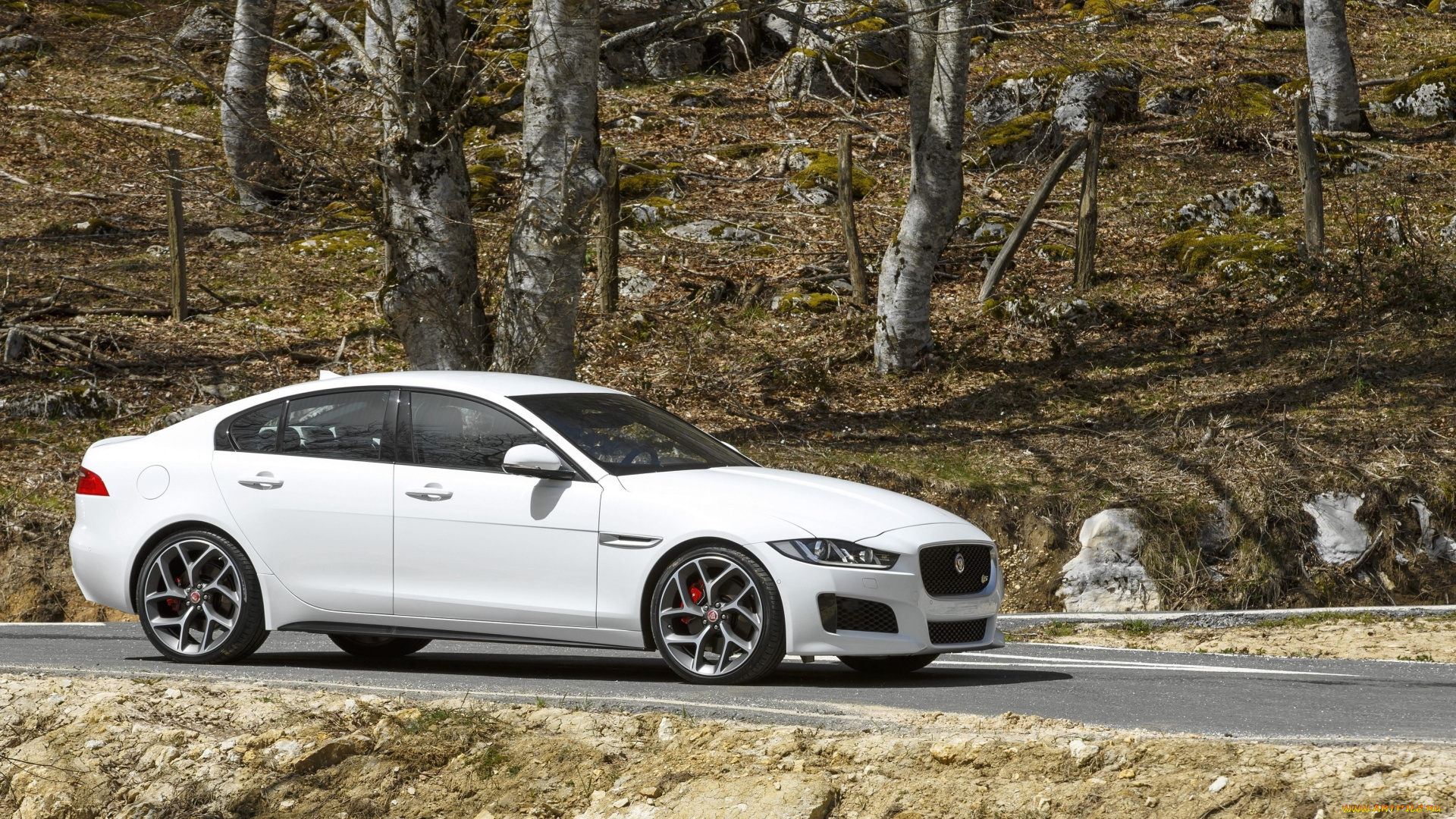 автомобили, jaguar, 2015г, xe, s