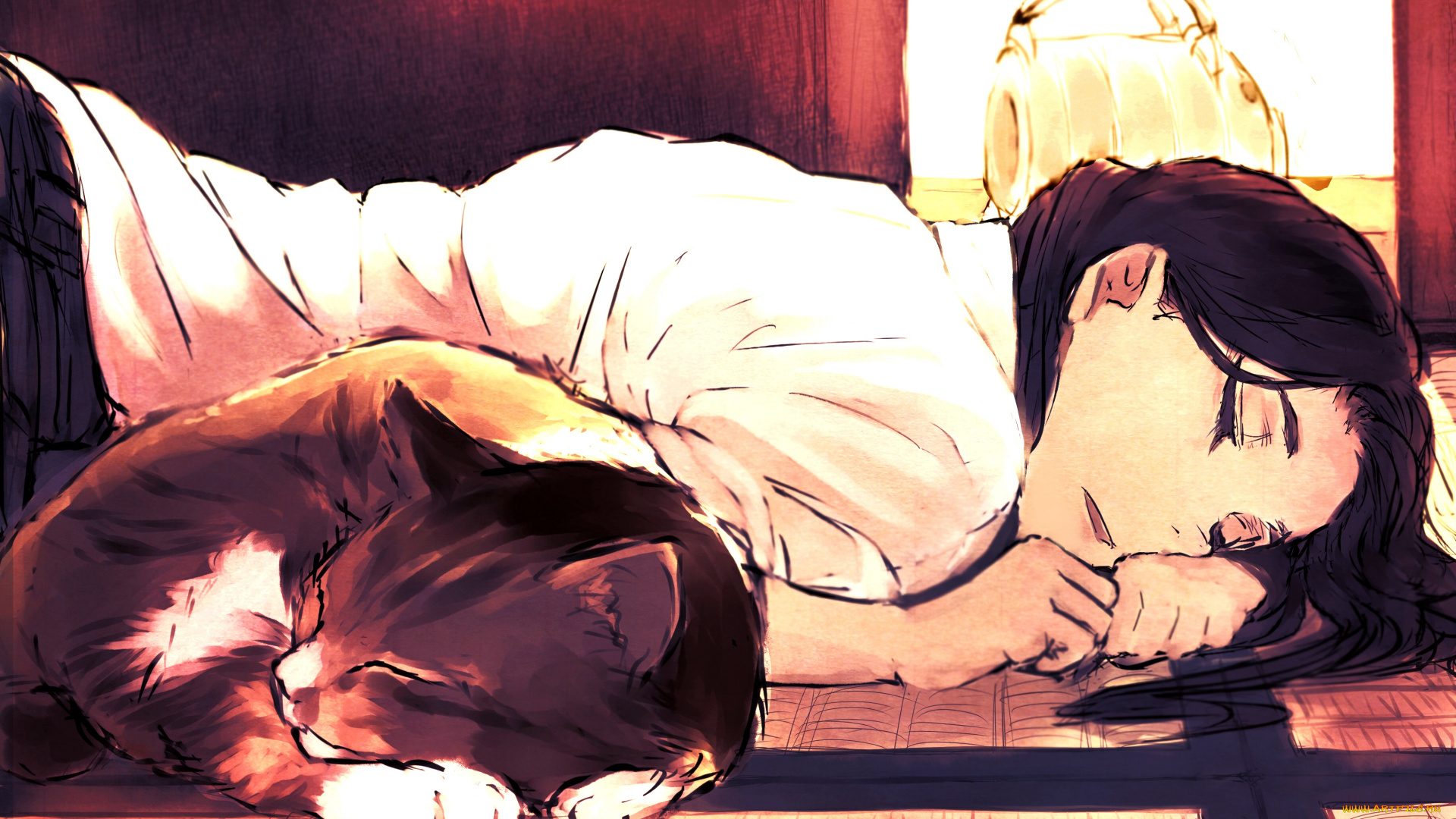 аниме, животные, , существа, спит, девушка, кот