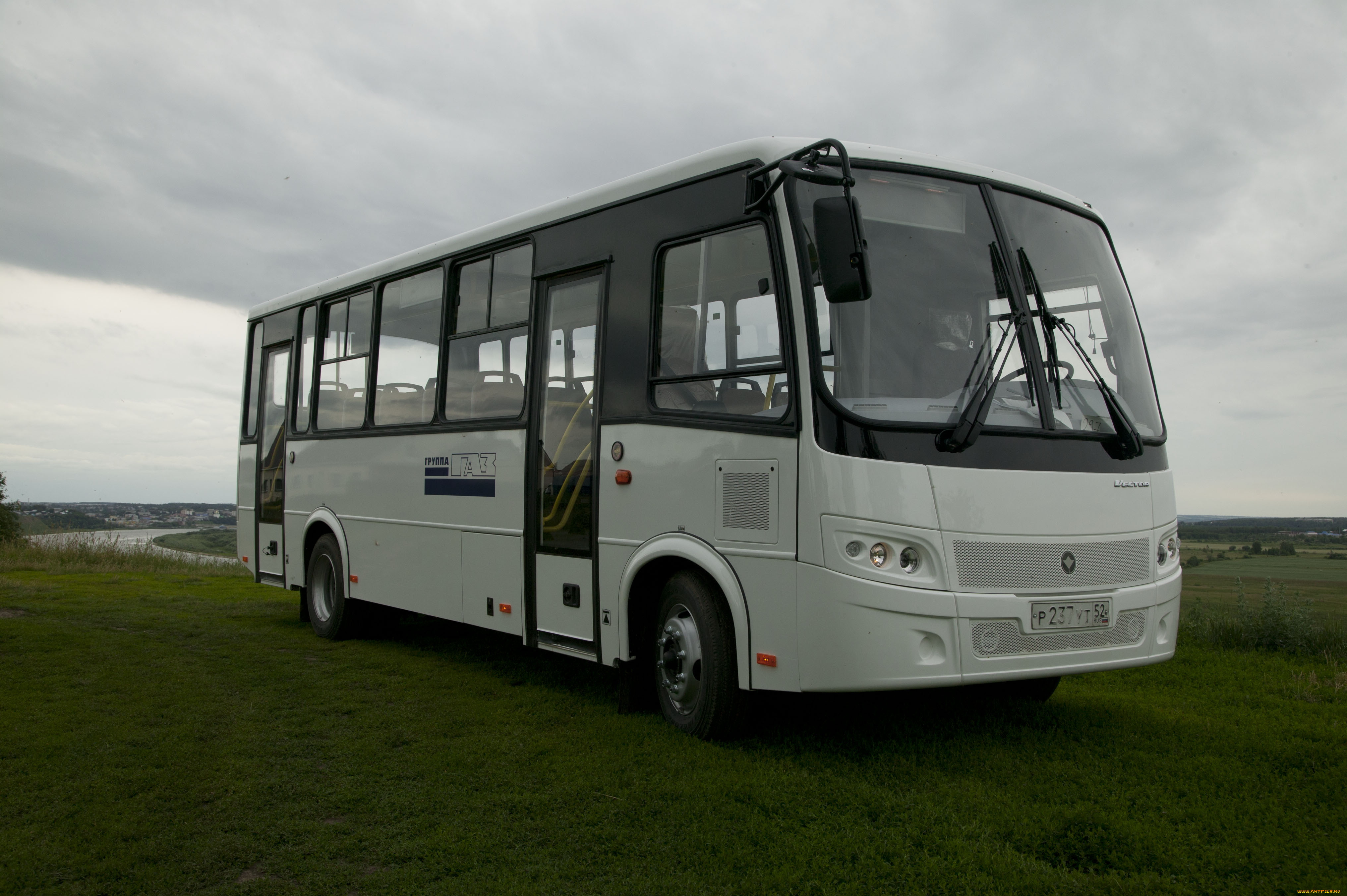паз, автомобили, автобусы, автобус