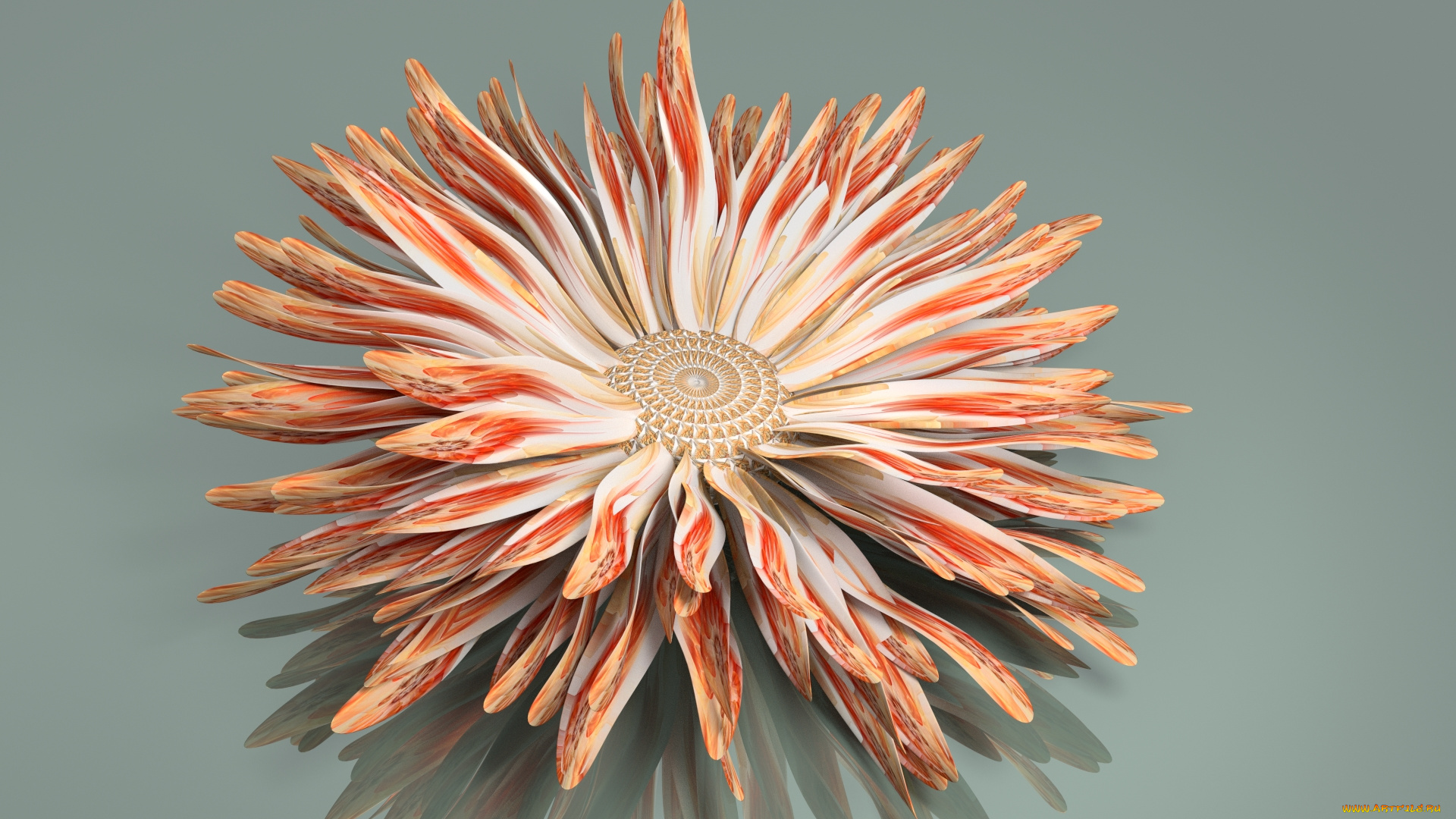 3д, графика, цветы, , flowers, лепестки, фон