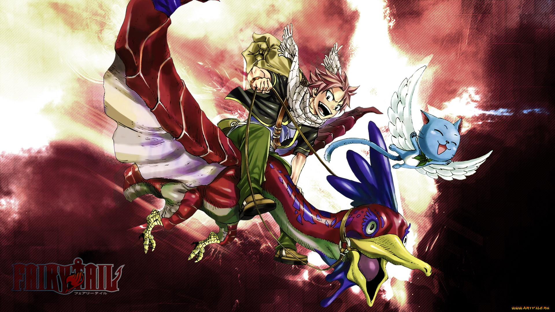 аниме, fairy, tail, хвост, феи