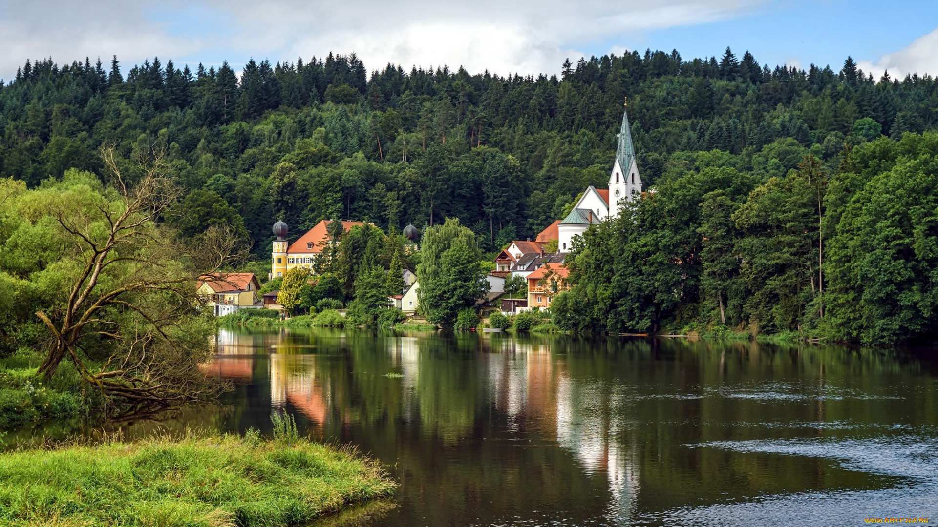 города, -, католические, соборы, , костелы, , аббатства, костел, городок, лес, река