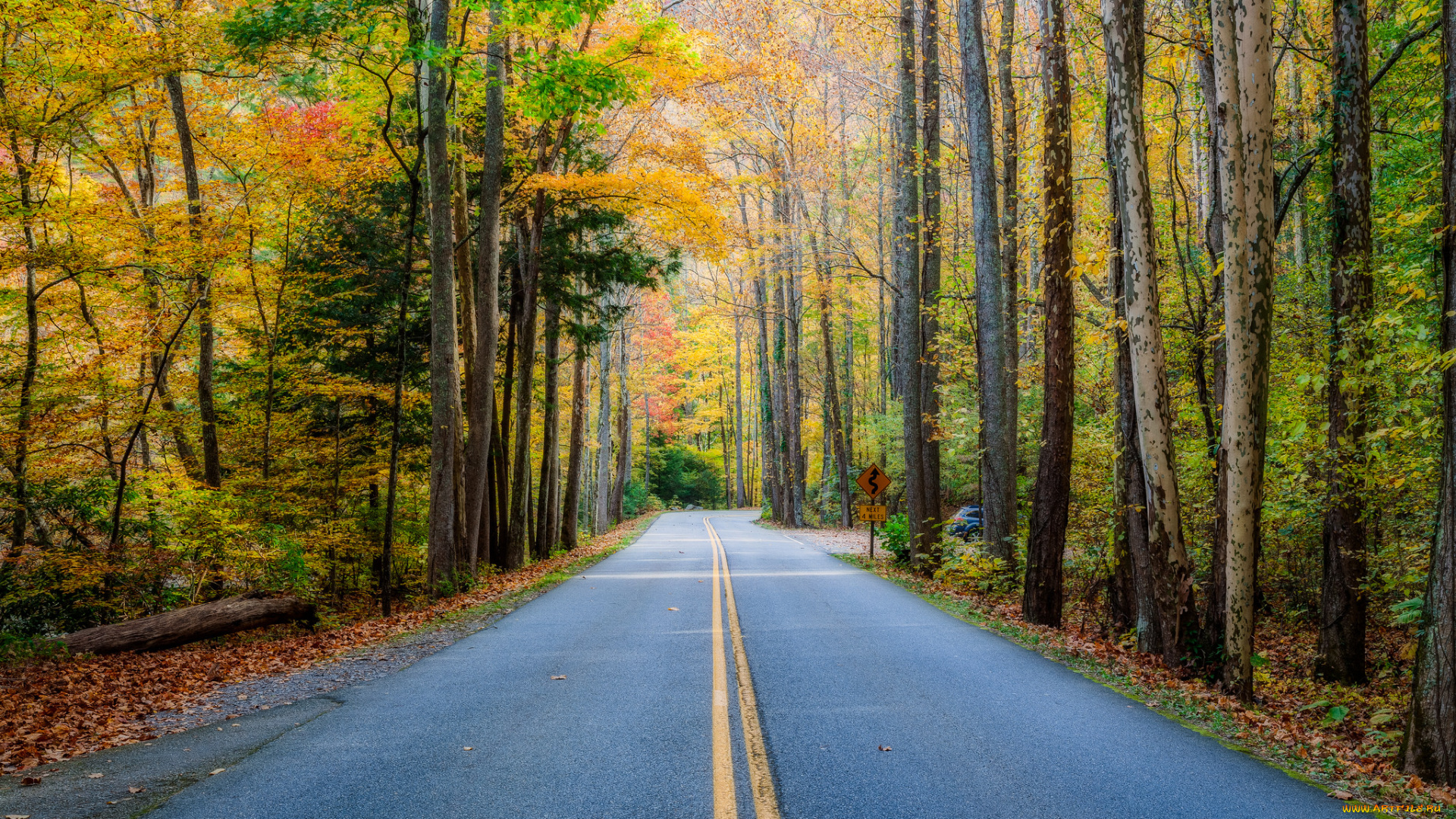 природа, дороги, шоссе