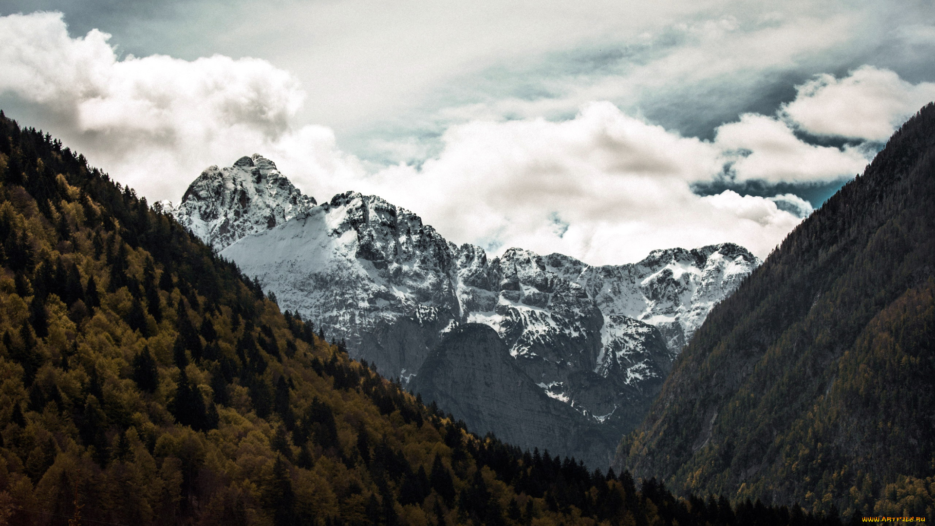 природа, горы, лес, вершина, облака