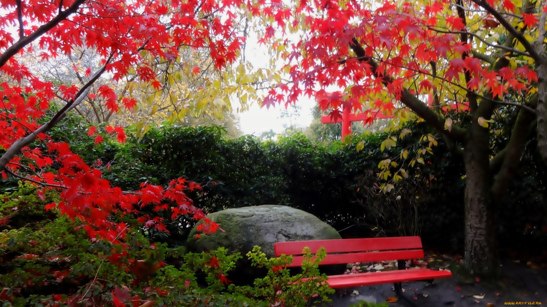 природа, парк, осень, камень, скамейка, деревья