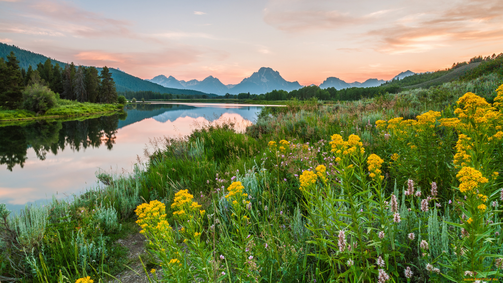 природа, реки, озера, река, лес