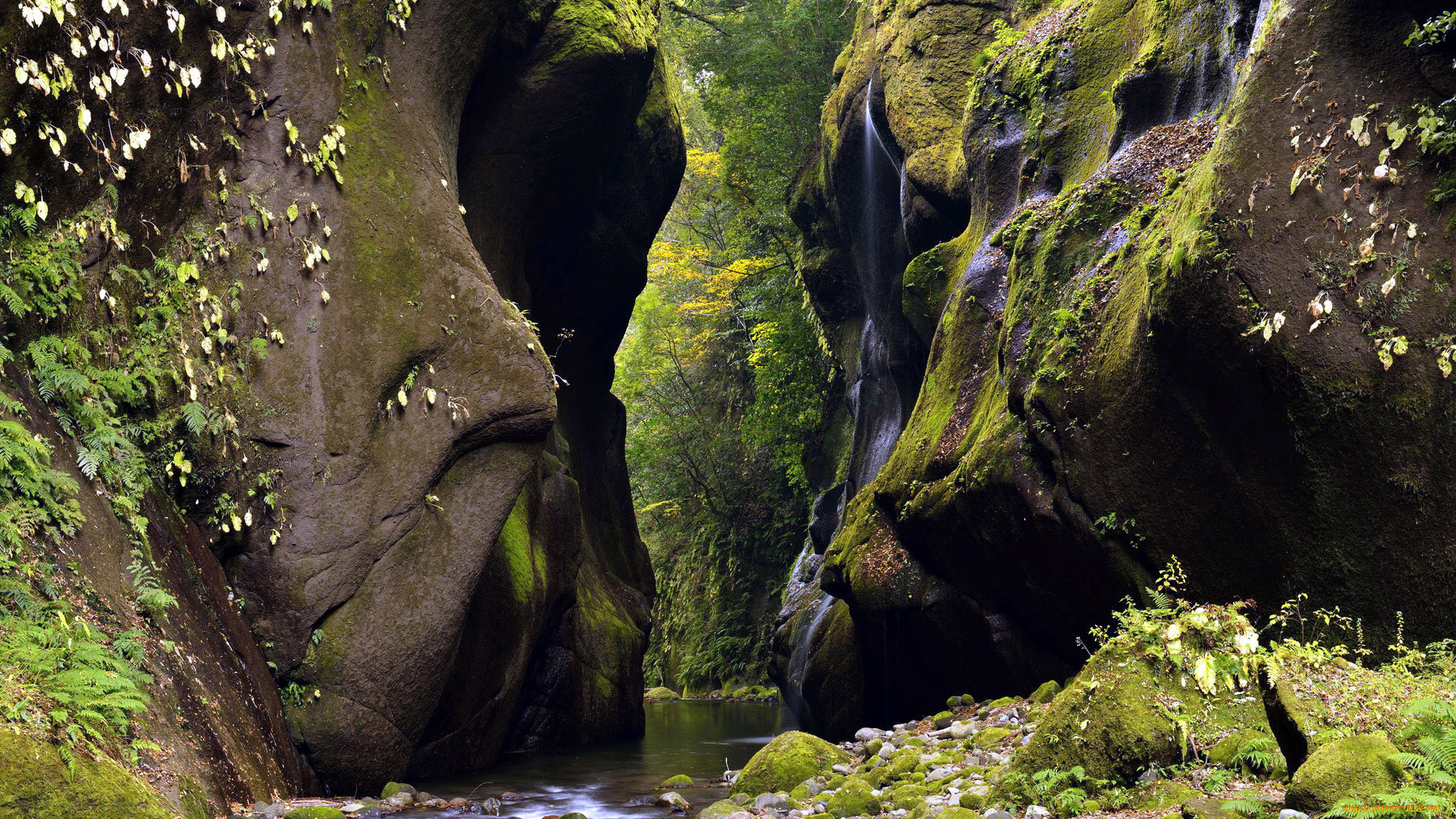 природа, реки, озера, скалы, мох, река