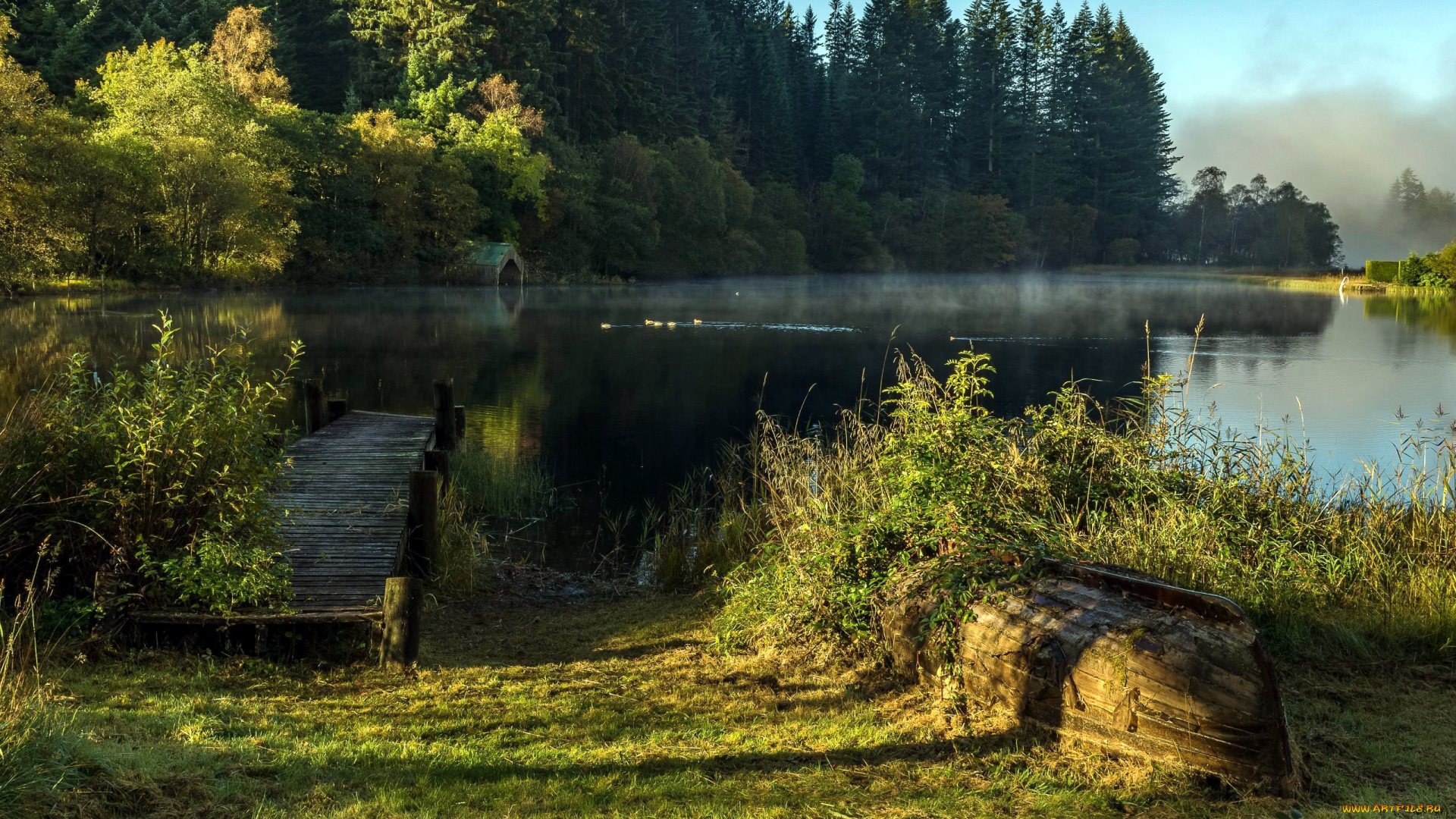 природа, реки, озера, утро, туман, мостки, озеро, деревья